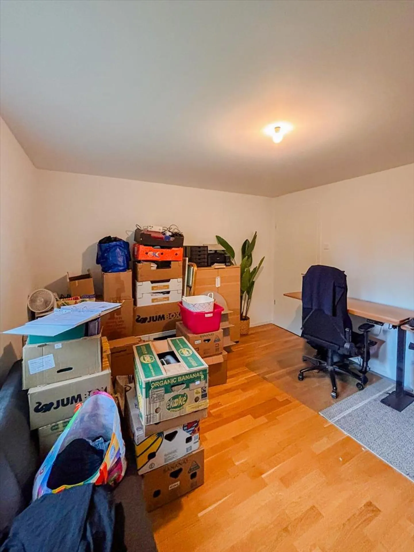 Magnifico appartamento nuovo di 3,5 locali al piano terra - Foto 9 di 10