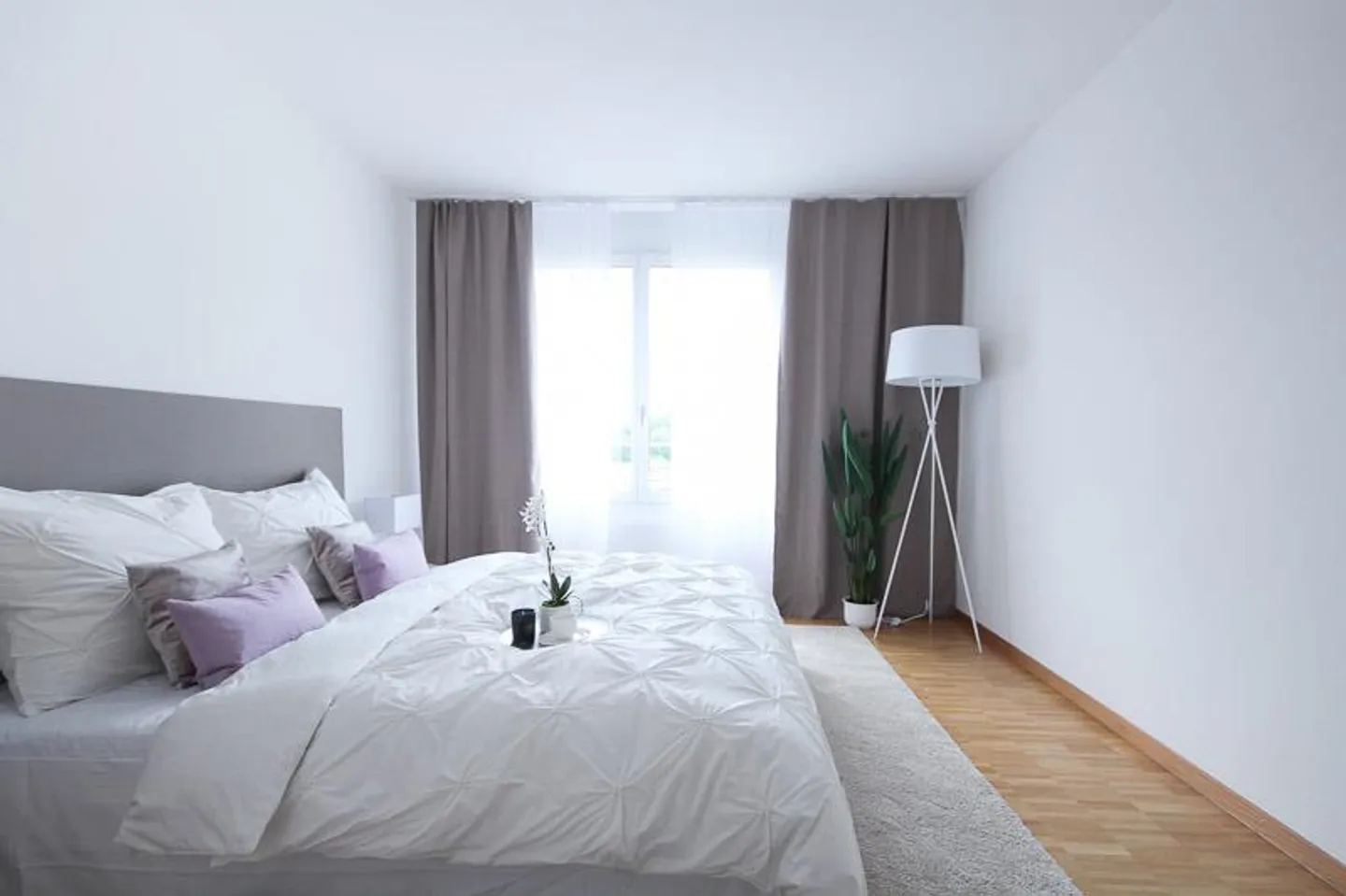 January Promotion - Move in Relaxed and Live Rent-Free - Photo 6 of 7