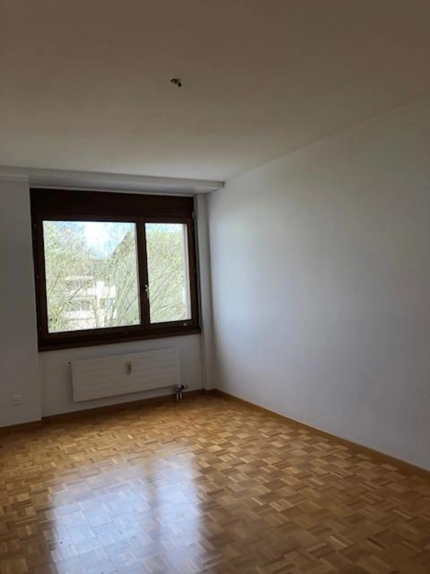 Visita: Mercoledì, 17.06.2026 dalle 17:00 alle 18:00 - Foto 6 di 8