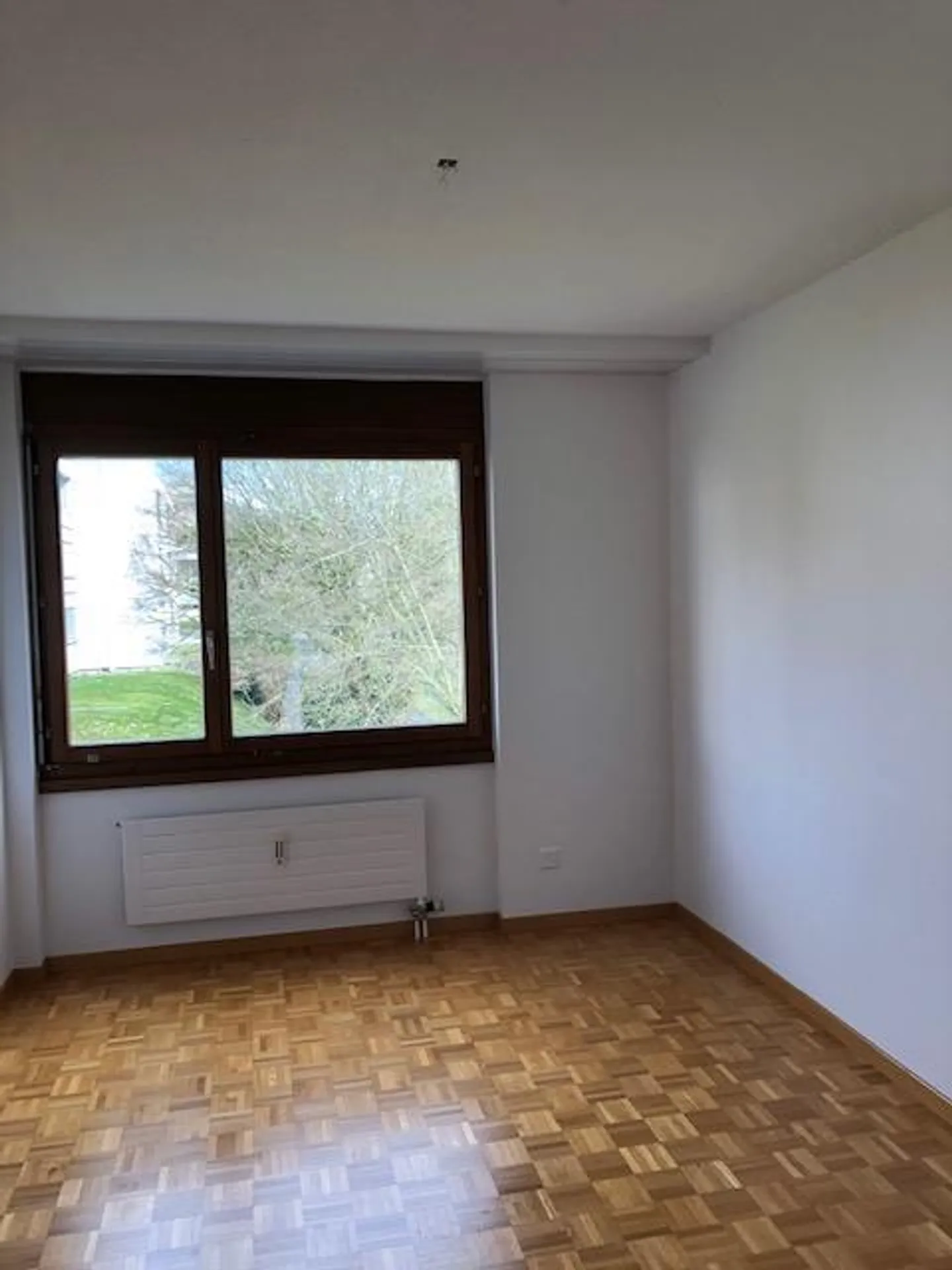 Visita: Mercoledì, 17.06.2026 dalle 17:00 alle 18:00 - Foto 7 di 8