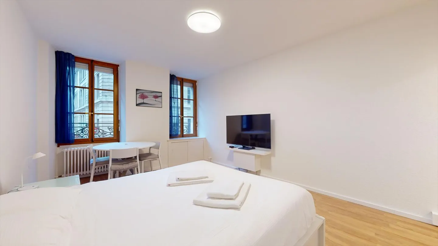 Studio moderne au cour de Genève - Photo 7 sur 12
