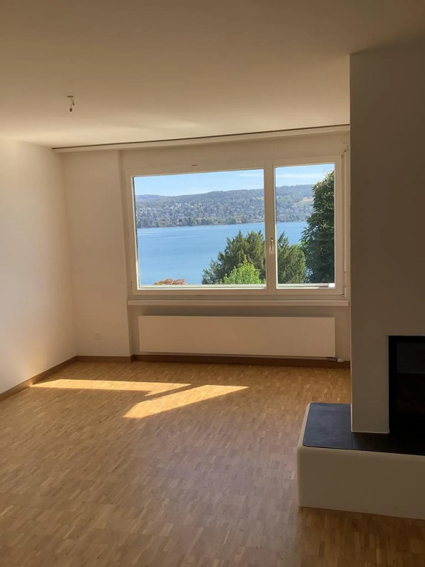 The apartment is rented out temporarily until March 31, 2029. - Photo 4 of 11