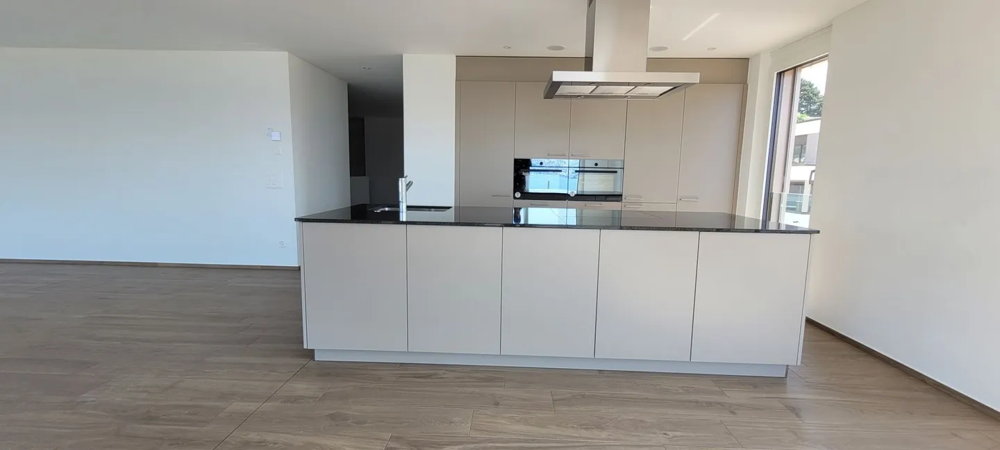 Large 3.5-room penthouse apartment in new building with lake view - Photo 4 of 10