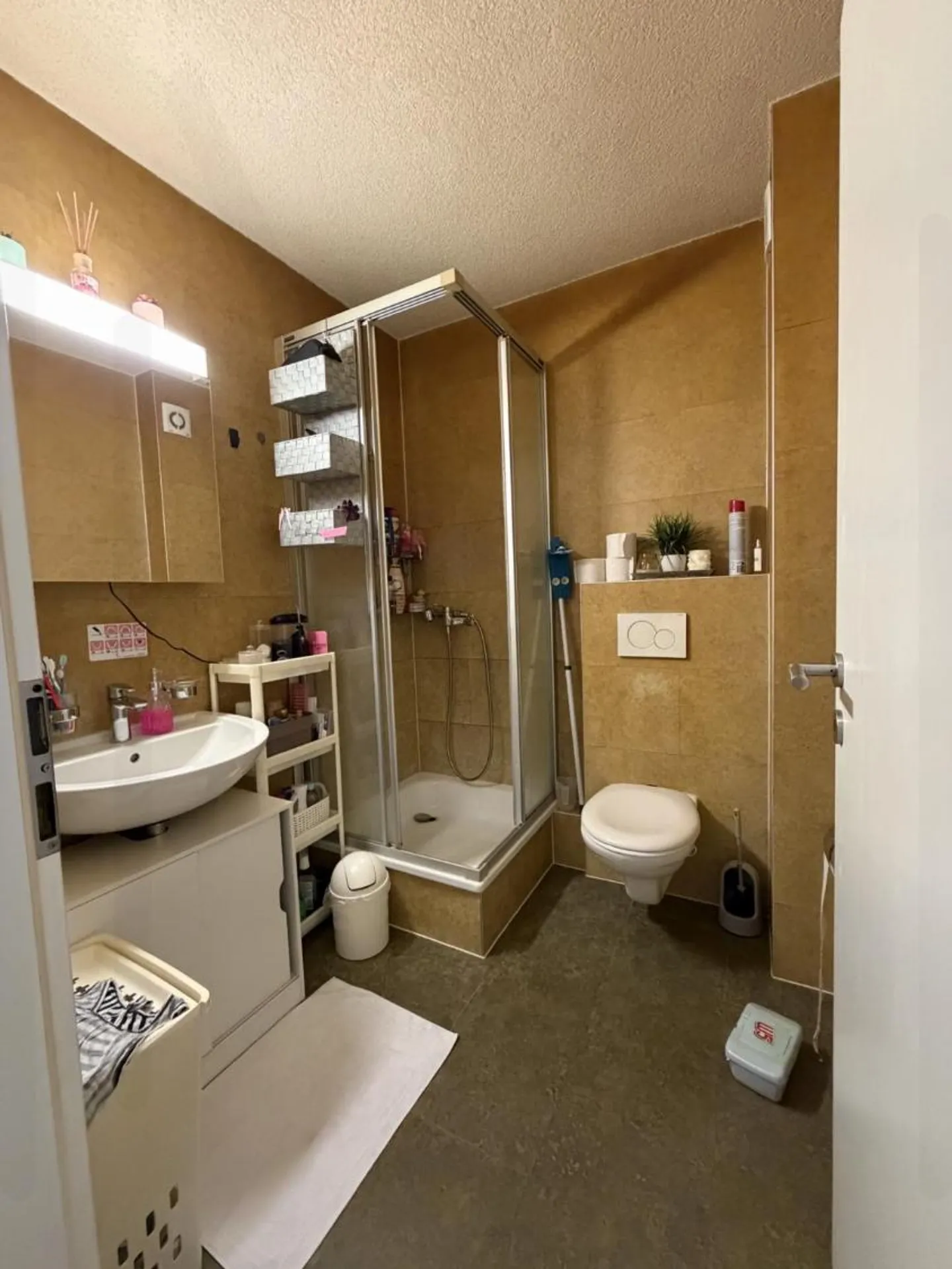 3.5 Room Apartment - Photo 7 of 9