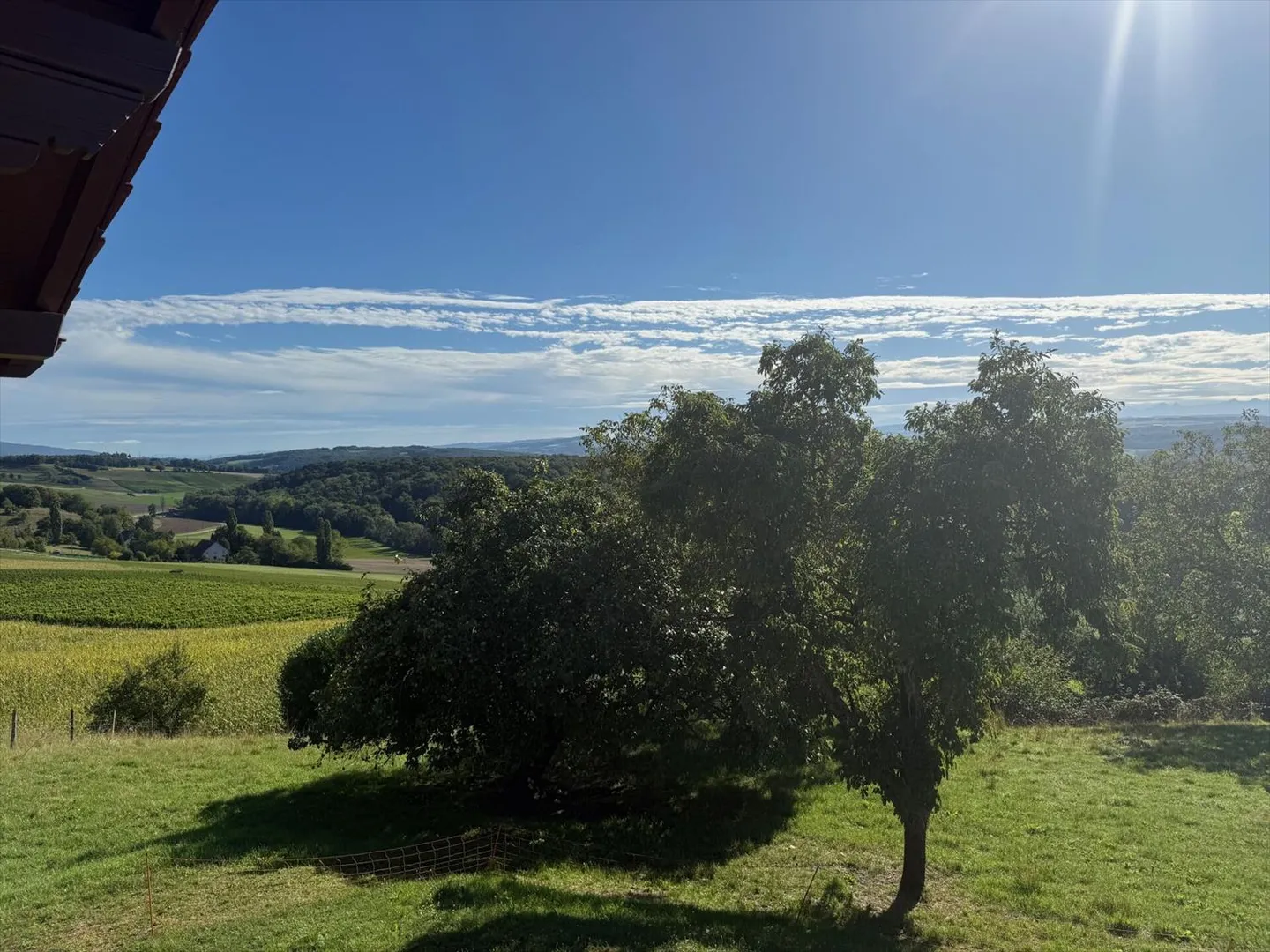 Rances, Villa-Chalet avec grand terrain - Photo 4 sur 13