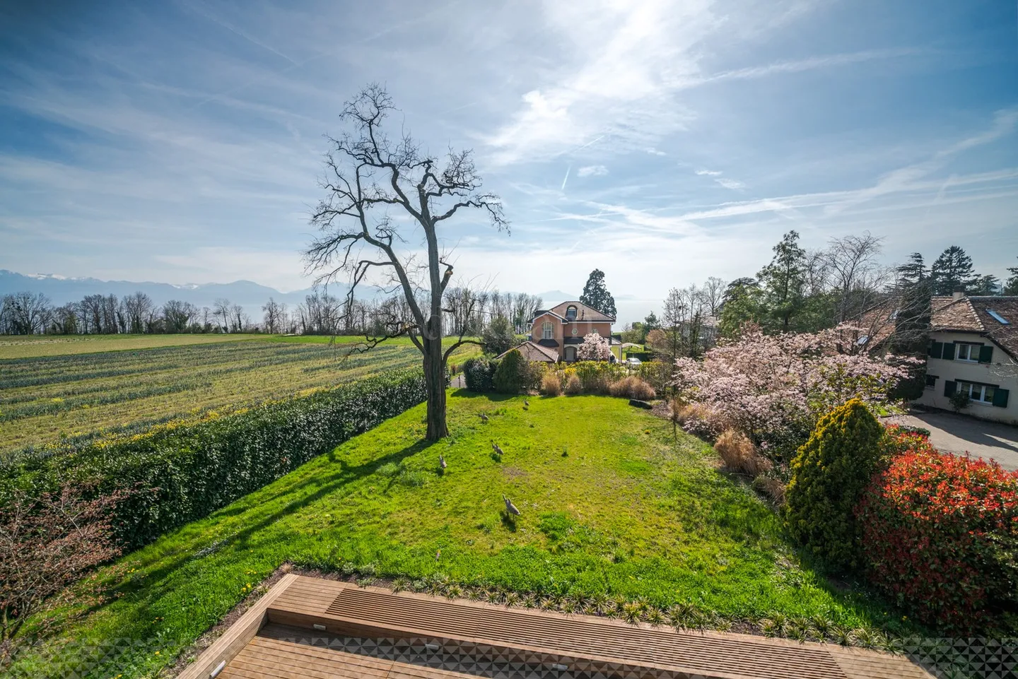 Außergewöhnliche Büros von 900 m2 in Préverenges - CHF 240.-/m2/Jahr - Foto 12 von 12