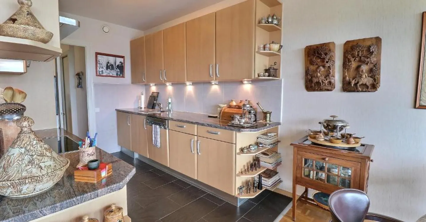 Superb apartment on a high floor with a pool in occupied life annuity without rent - Photo 4 of 10