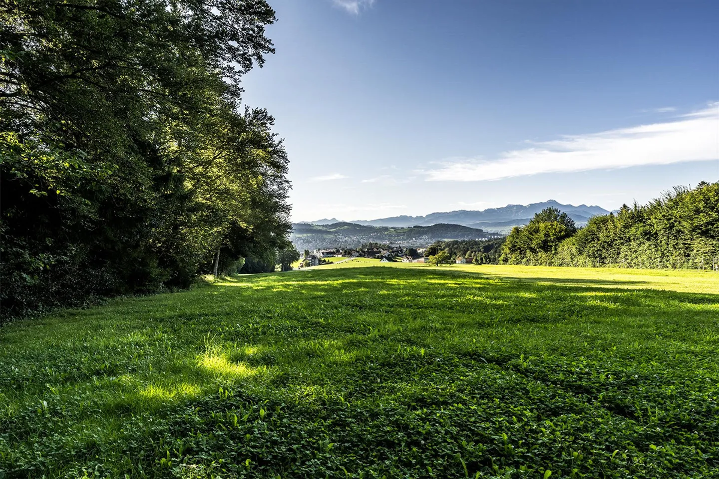 Appartamento giardino 5,5 locali a Engelburg - Foto 23 di 25