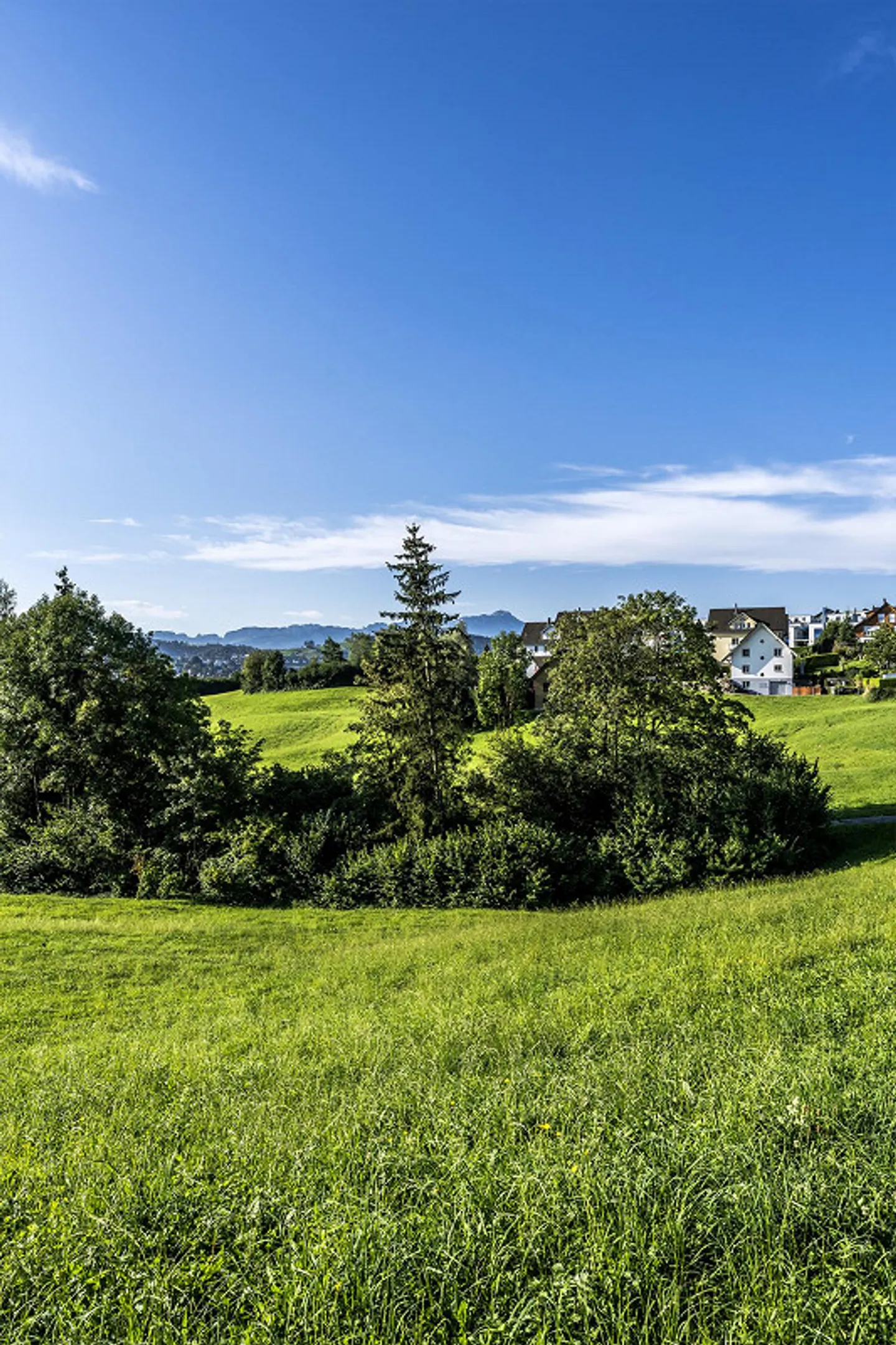 Appartamento giardino 5,5 locali a Engelburg - Foto 24 di 25