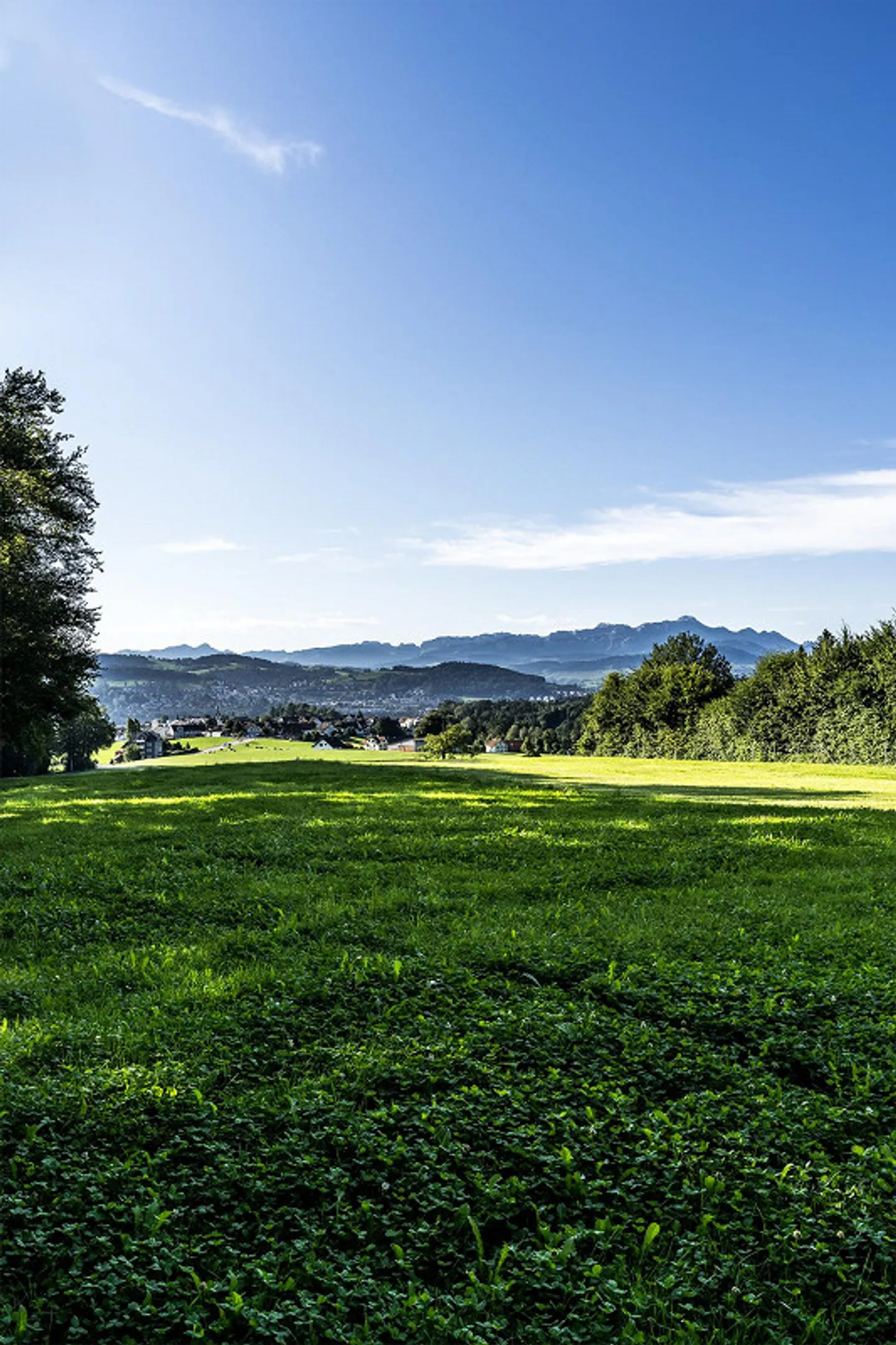 Appartamento giardino 5,5 locali a Engelburg - Foto 25 di 25