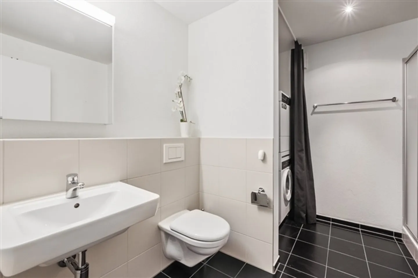 APPARTAMENTO 3½ STANZE A ZURIGO - DISTRETTO 11 SEEBACH, ARREDATO, TEMPORANEO - Foto 6 di 10