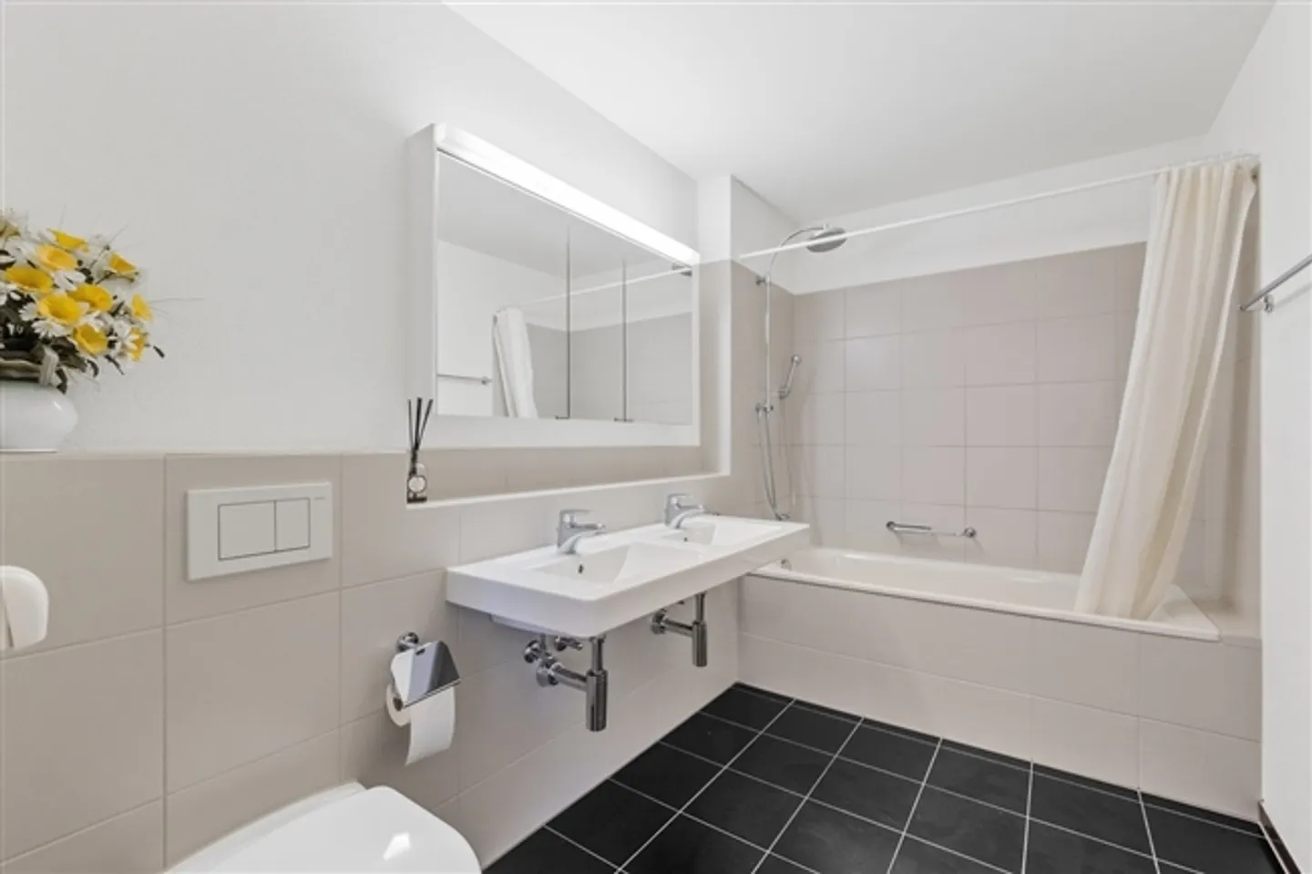 APPARTAMENTO 3½ STANZE A ZURIGO - DISTRETTO 11 SEEBACH, ARREDATO, TEMPORANEO - Foto 7 di 10