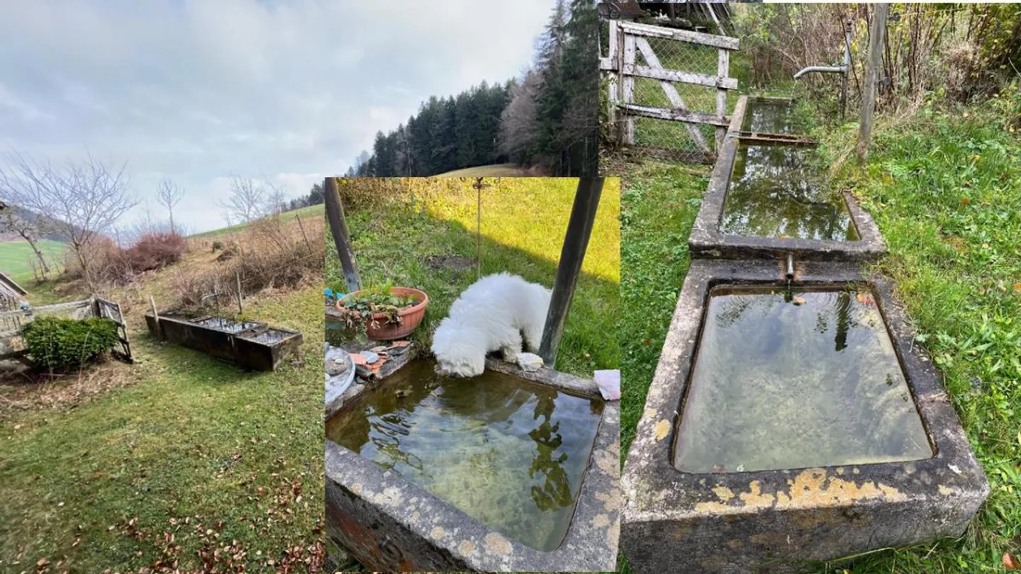 Fattoria di 7,5 stanze - Foto 5 di 5