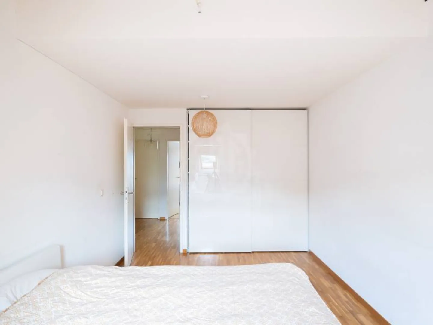 Appartement spacieux - Plan-les-Ouates - Photo 11 sur 12
