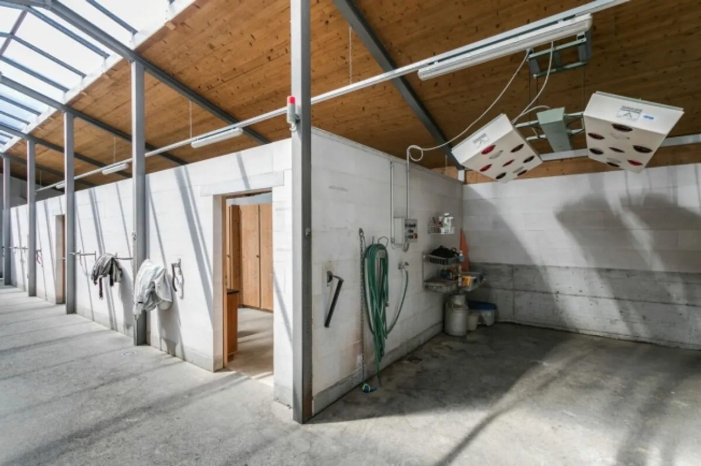 PROPRIETÀ EQUESTRE CON VILLA, HALL E NUOVA ARENA IN SABBIA - Foto 6 di 9