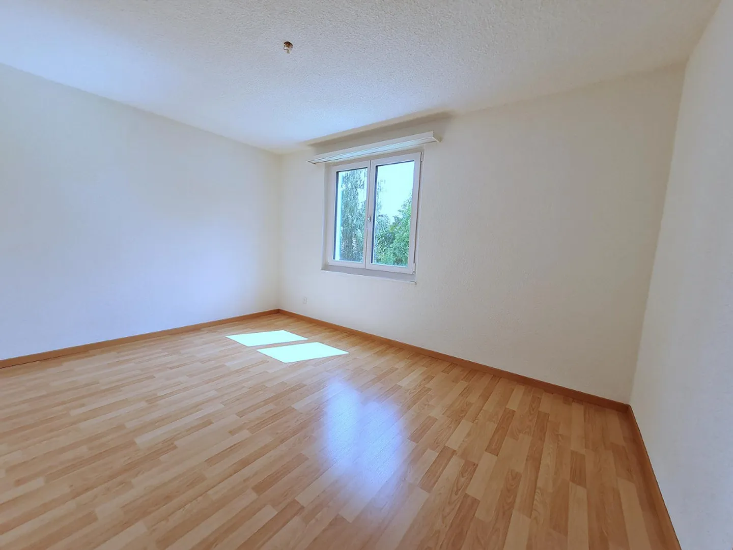 Beautiful cozy 4.5 room apartment - Photo 6 of 10