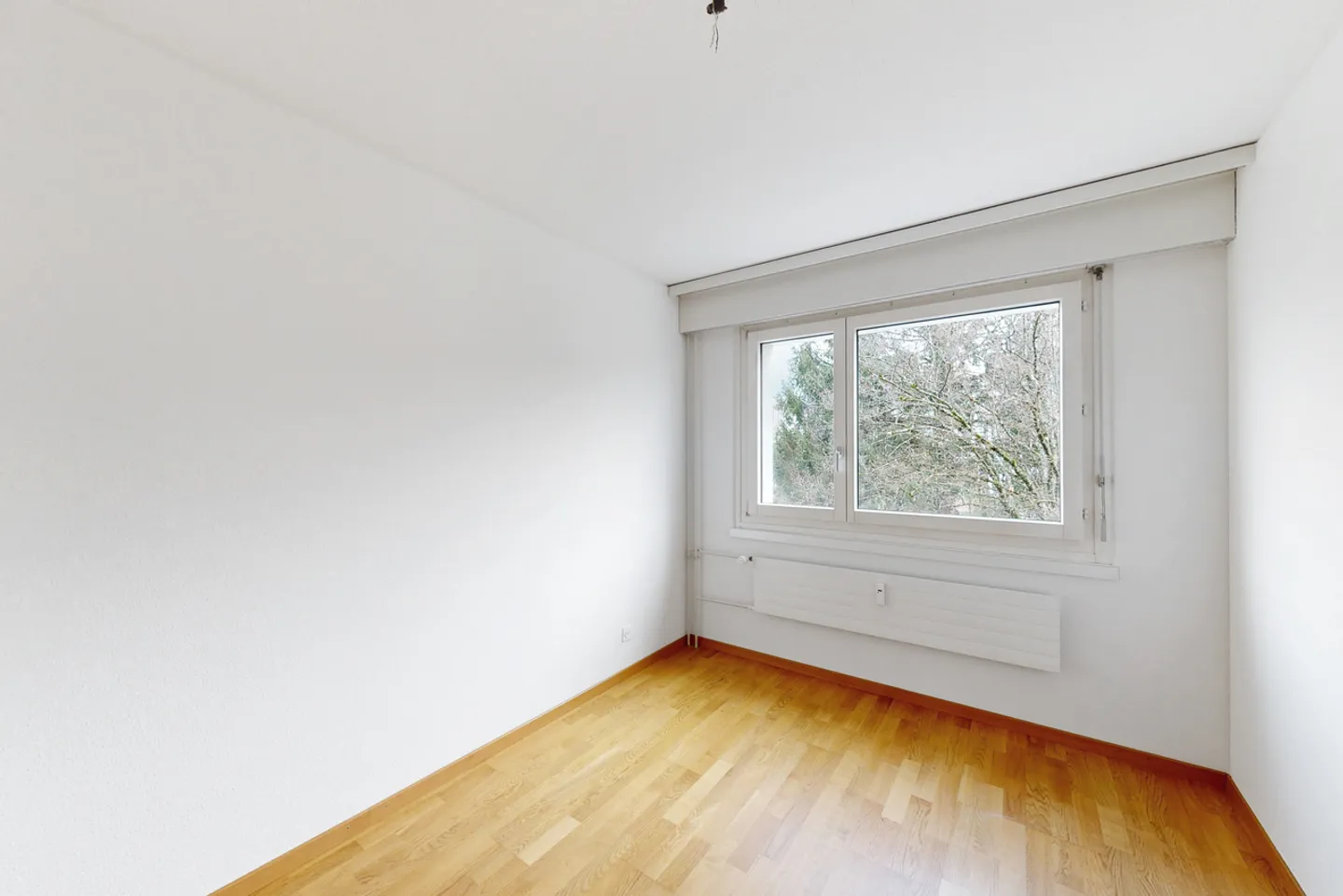 Geräumige Wohnung mit Naturblick - Foto 4 von 9