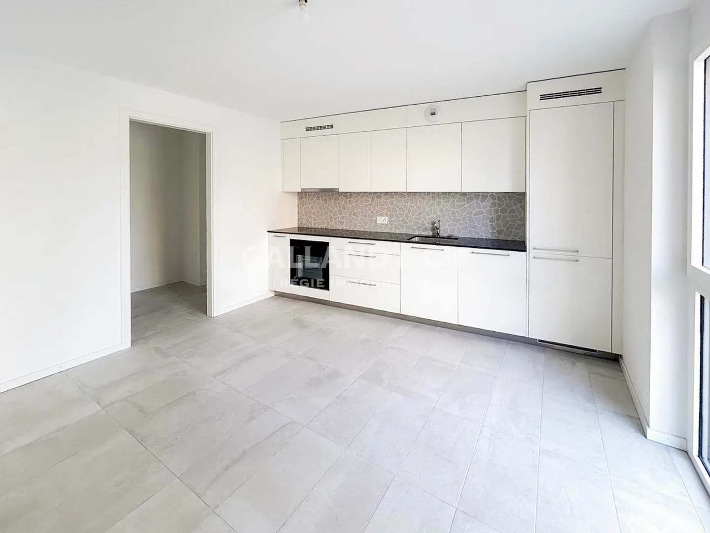 Charming apartment in Estavayer-le-Lac in the heart of an eco-district - Photo 2 of 7