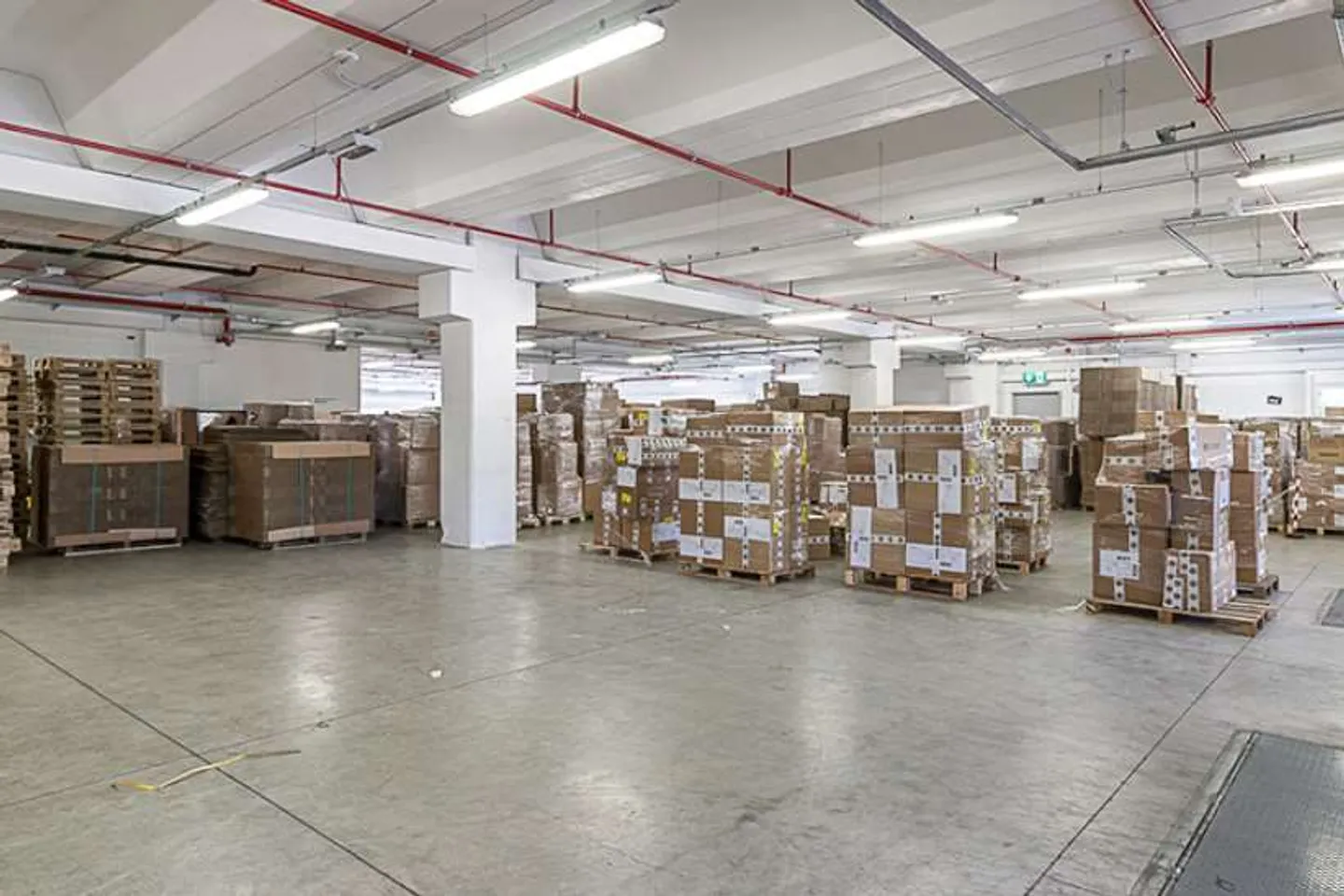 Propriété à louer : Espace logistique/Salle de stockage avec grande surface à Cadenazzo - Photo 5 sur 8