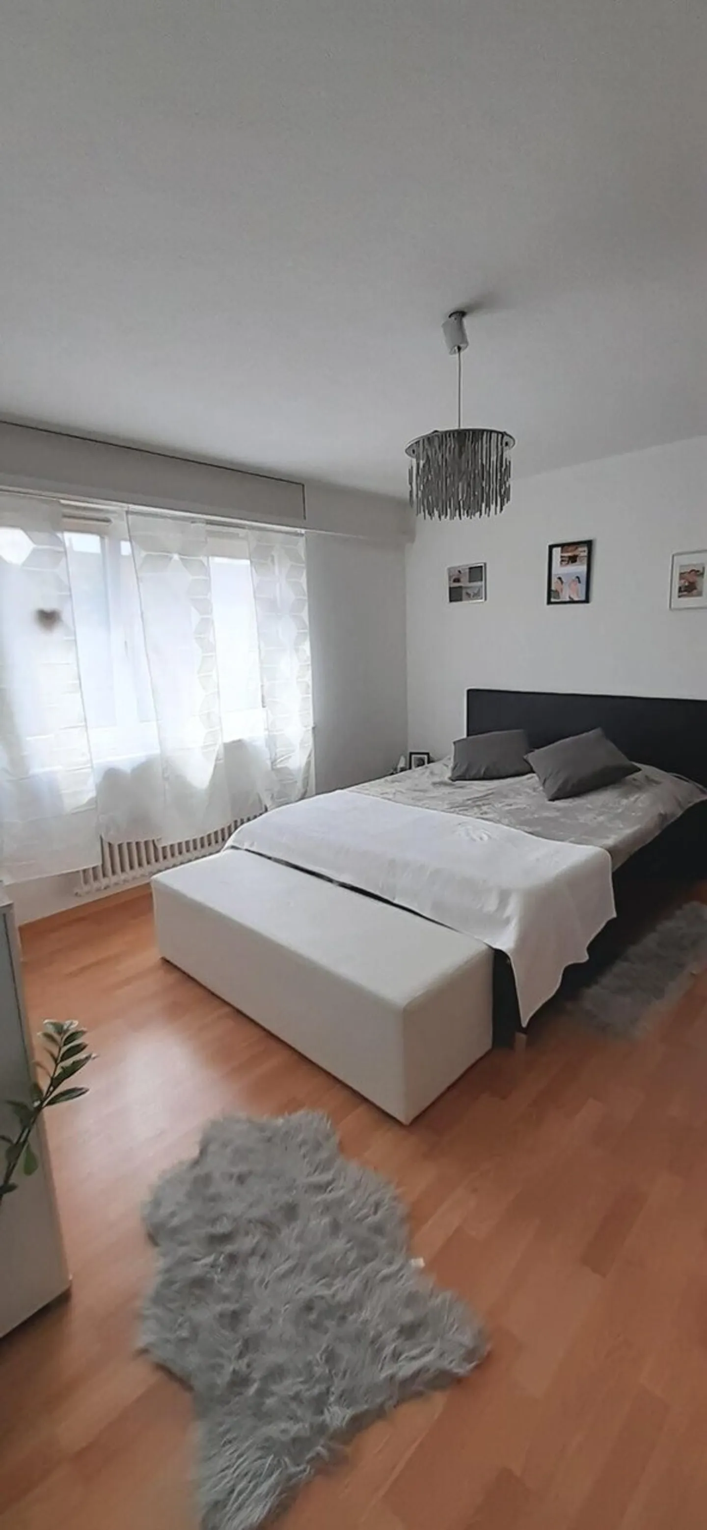 Appartamento in affitto - Foto 5 di 9