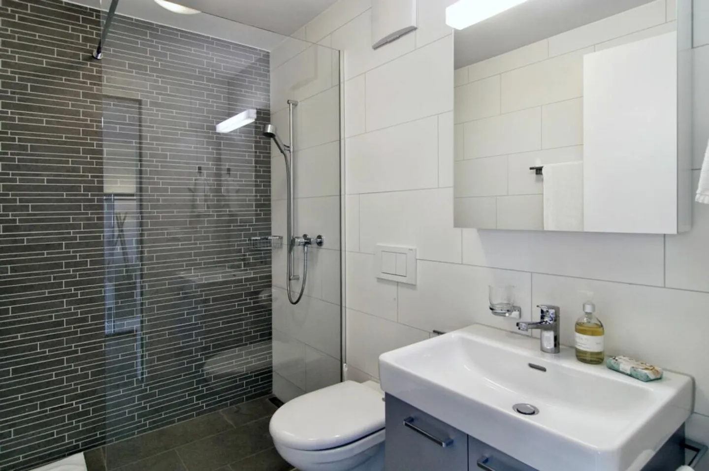 Appartement d'affaires à Winterthur - Photo 6 sur 7