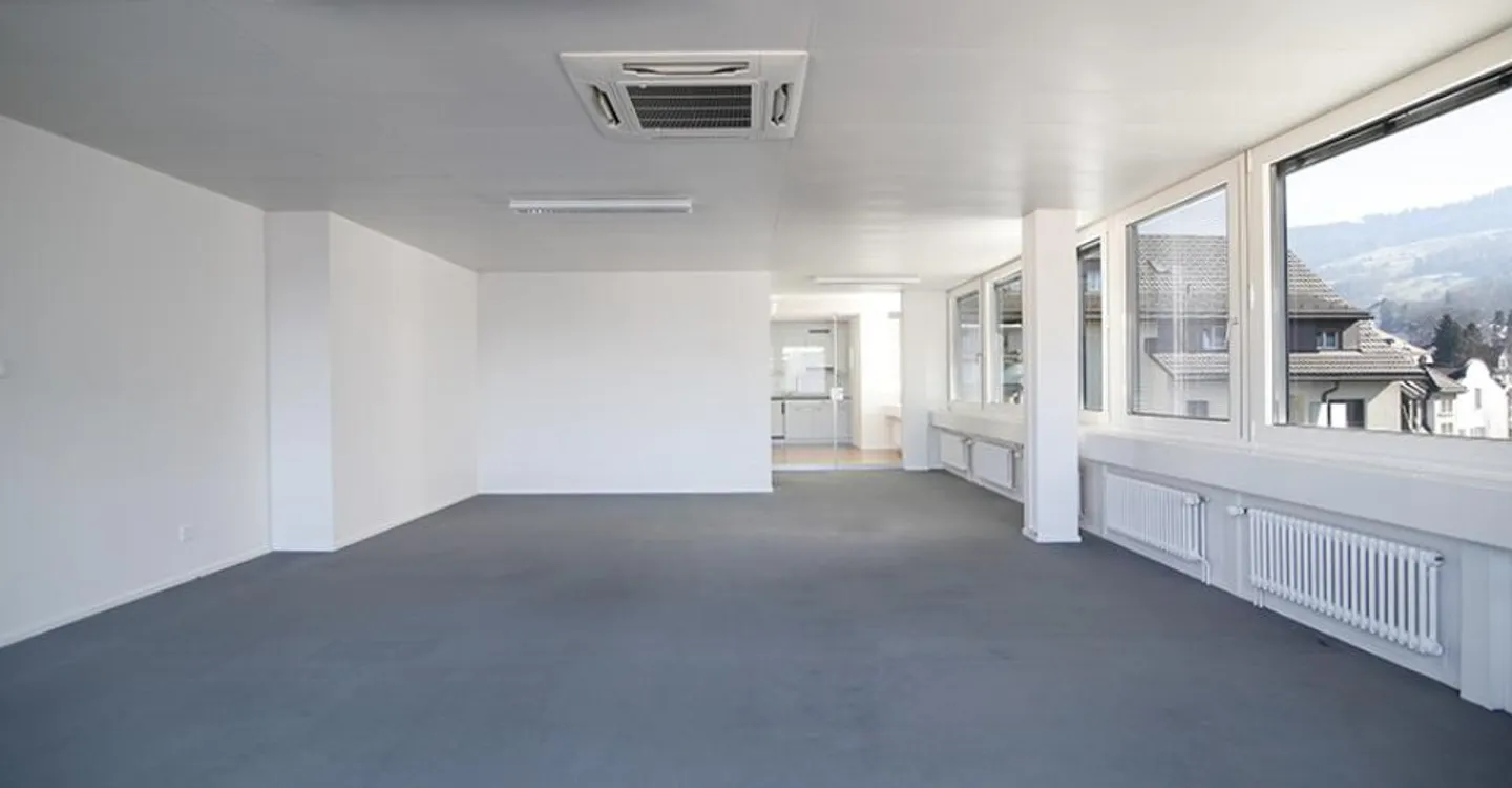 Office or Practice Space in the Center of Rorschach! - Photo 3 of 10