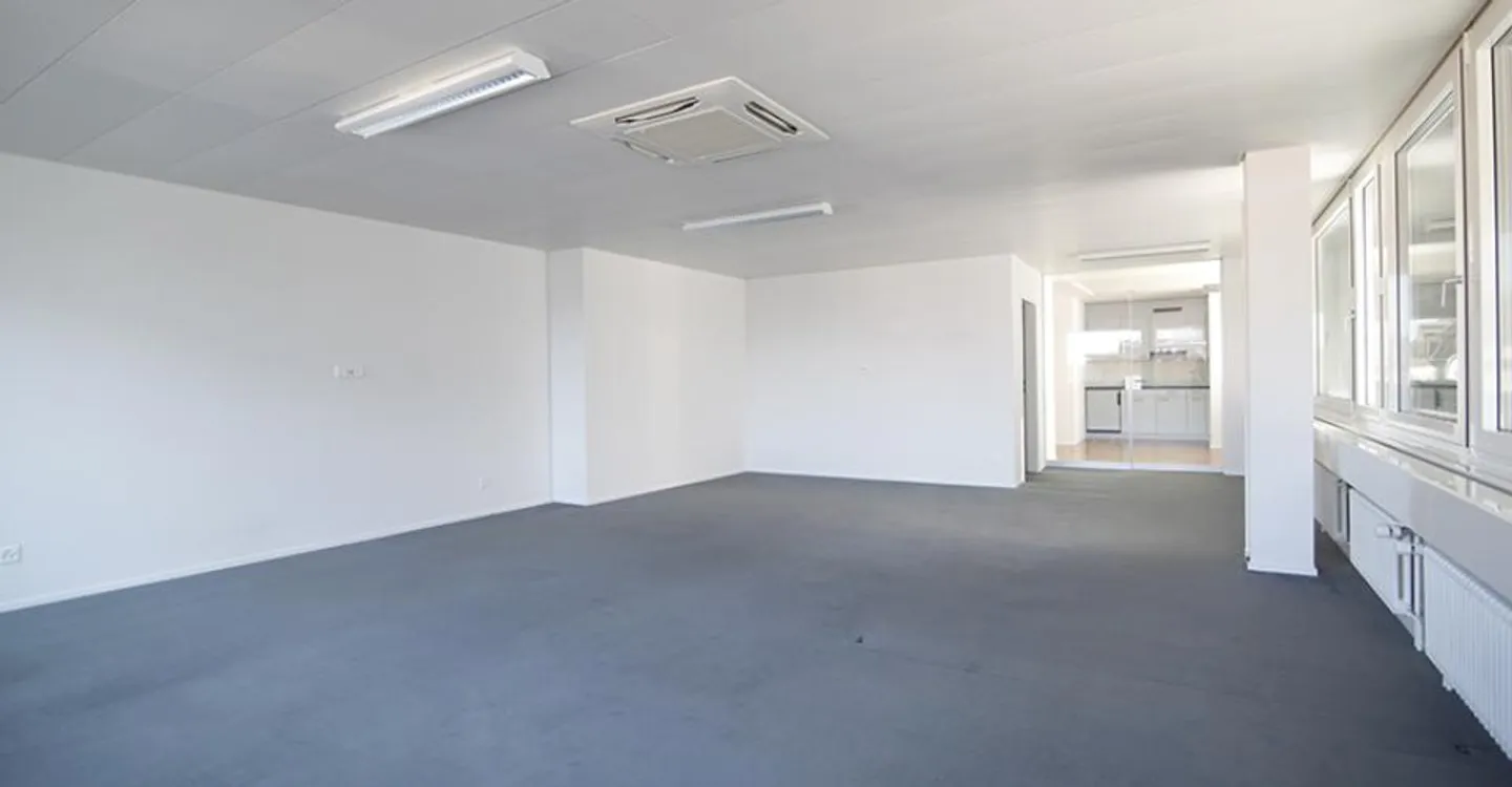 Office or Practice Space in the Center of Rorschach! - Photo 5 of 10