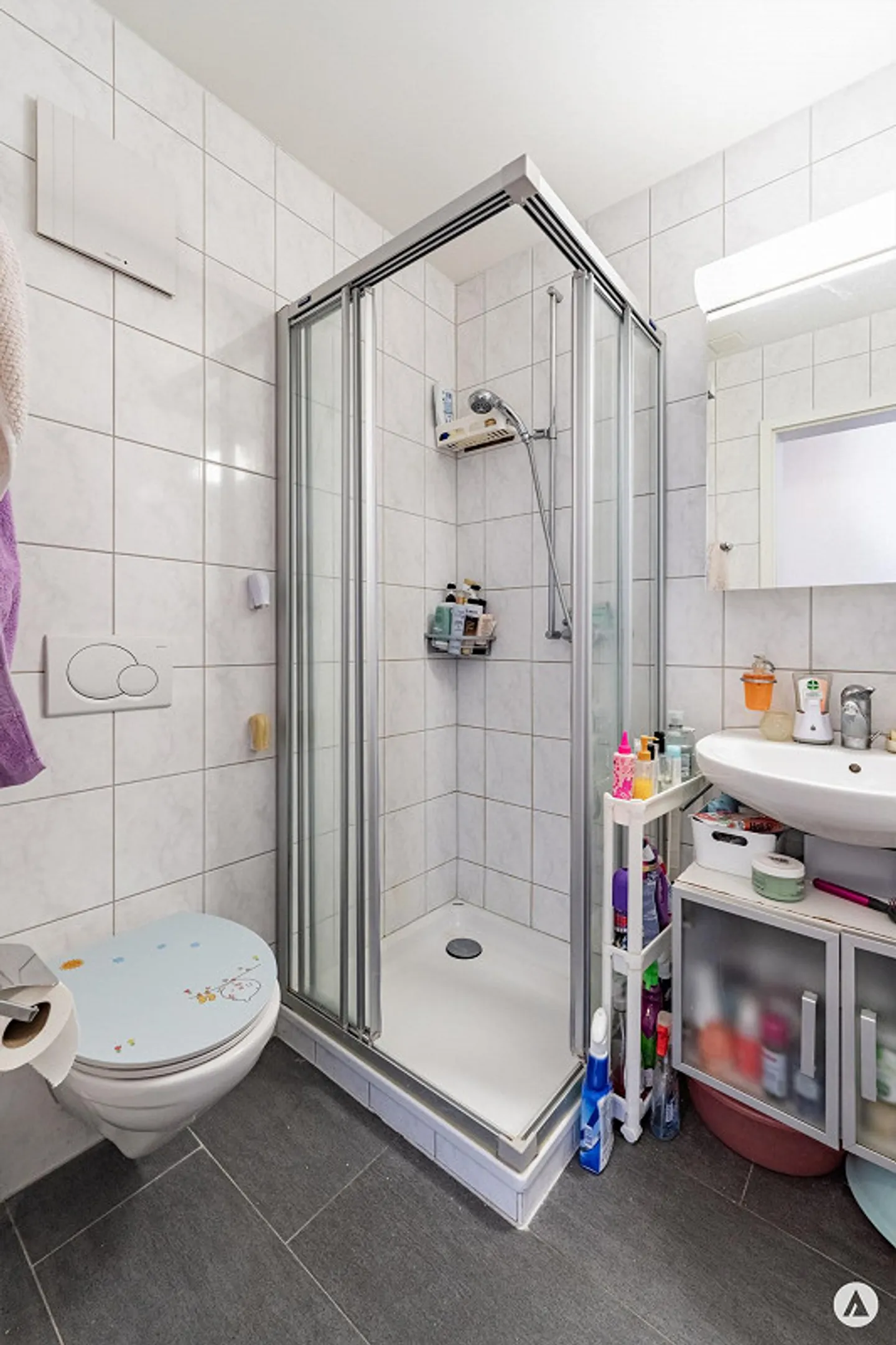 Holiday apartment in the heart of Interlaken - Photo 6 of 13