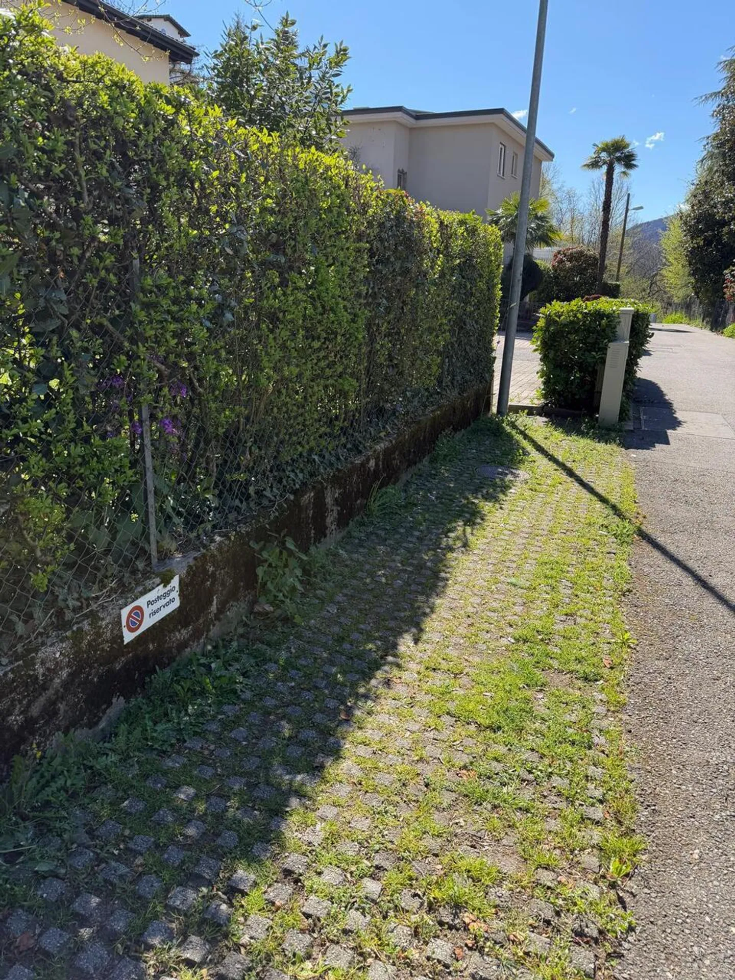 3,5 locali nel verde - Foto 14 di 14