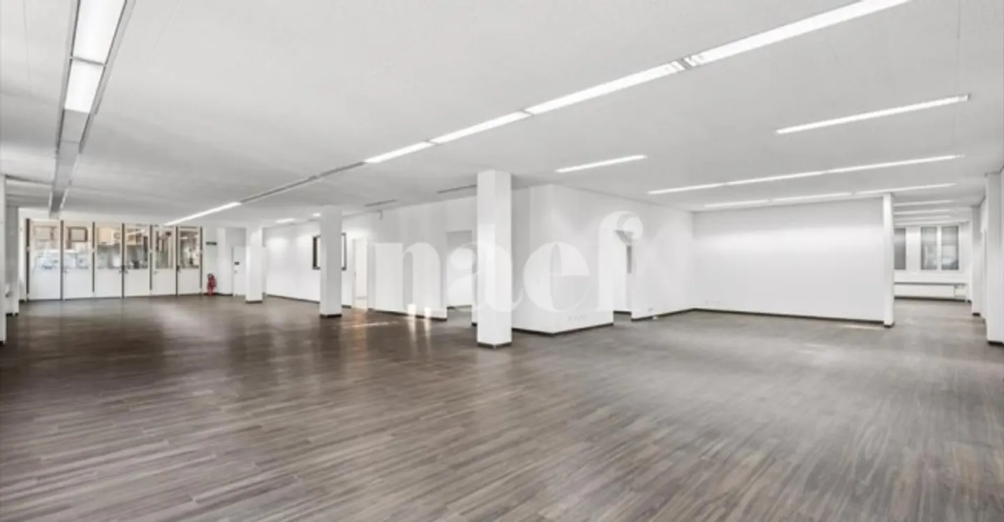 Industria - Foto 6 di 13