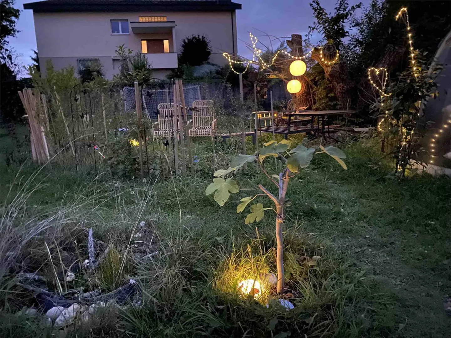 5.5 Zi.- DEFH mit Herz ♡ sucht Familie, die ihr Heim wie Ferien finden - Foto 24 von 27