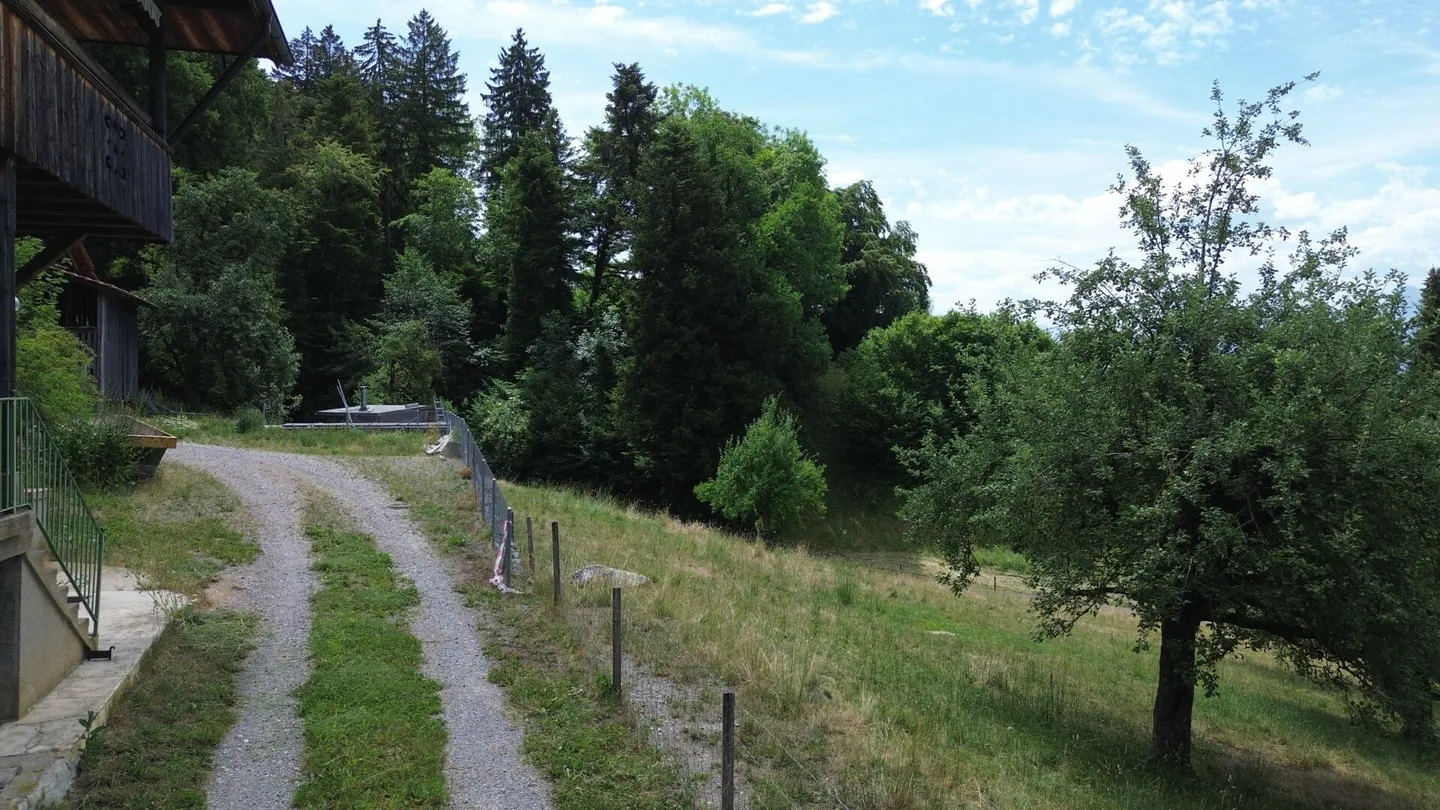 1'550 m2 di terreno edificabile in una posizione splendida - Foto 6 di 6