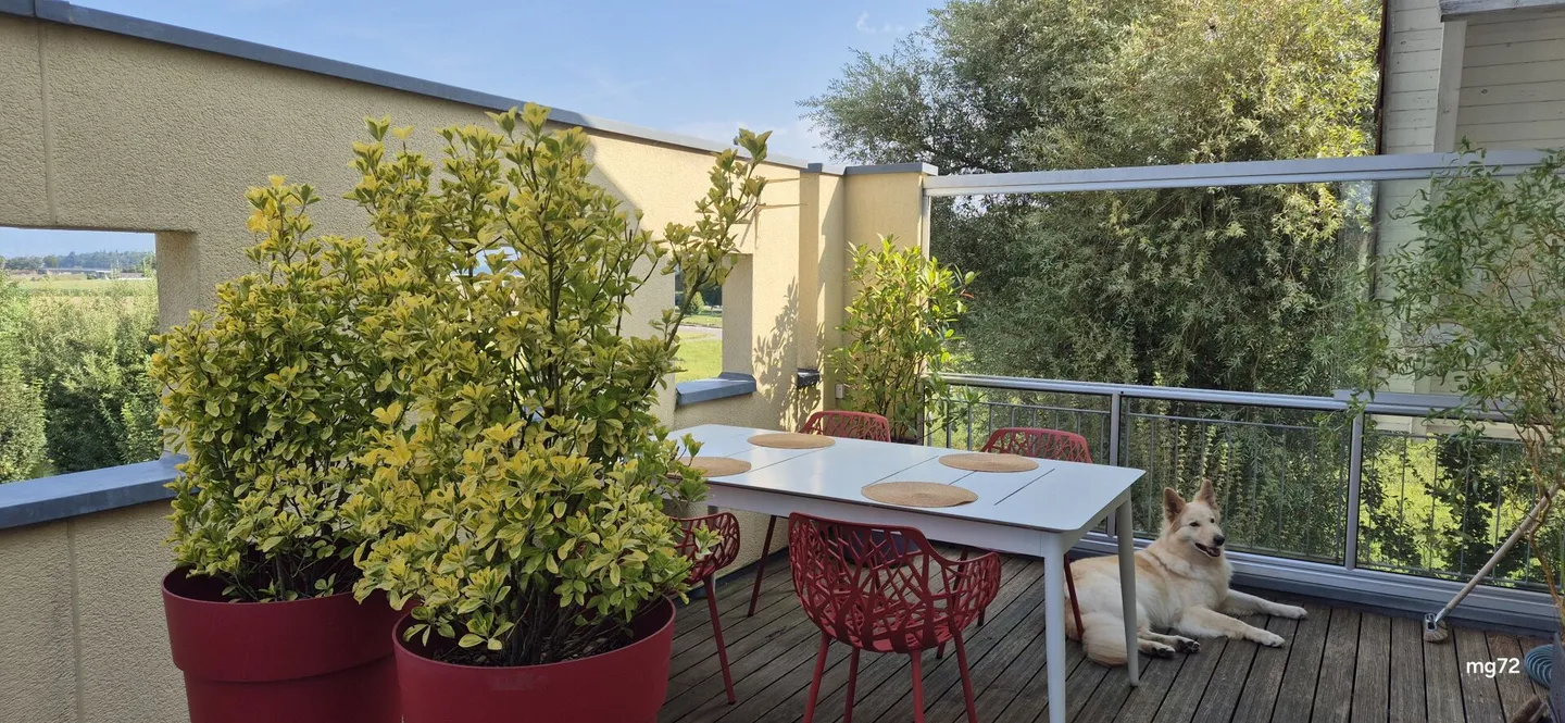Très généreux appartement duplex/maisonette à vendre à Kirchberg BE - Photo 12 sur 13