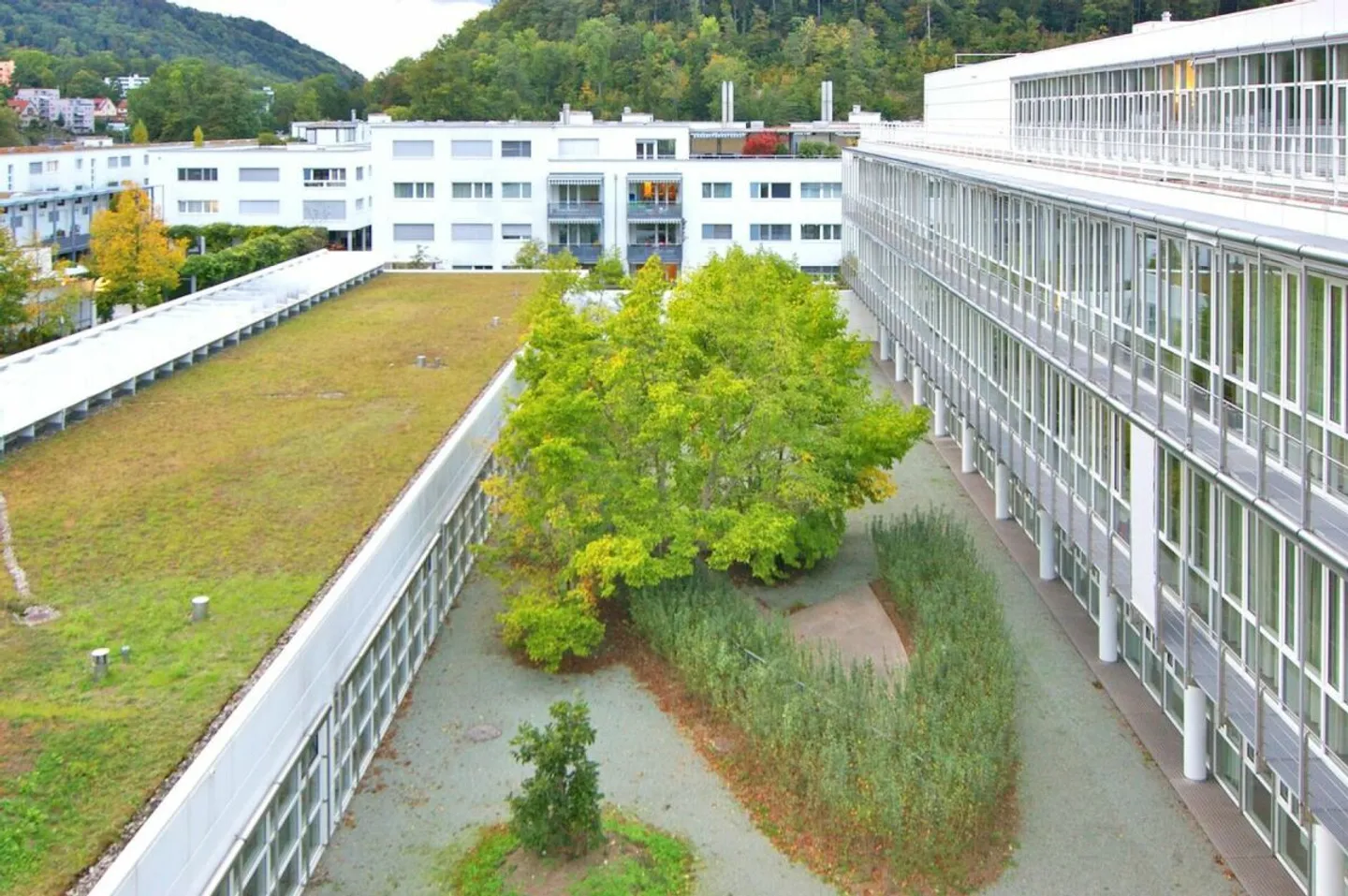 Appartamento elegante ad Adliswil - Foto 12 di 13