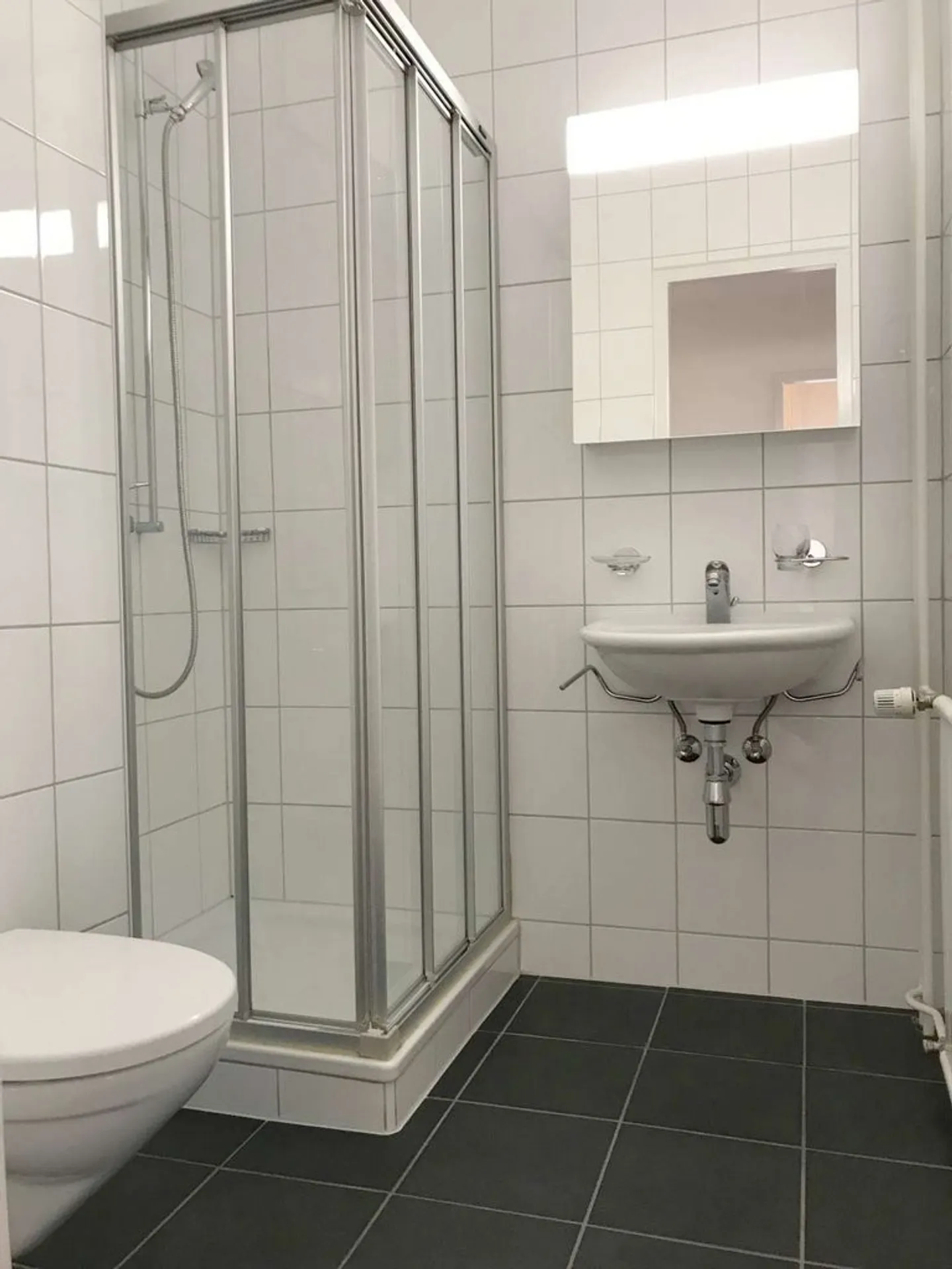 Beautiful 3-room apartment near the train station - Photo 7 of 10