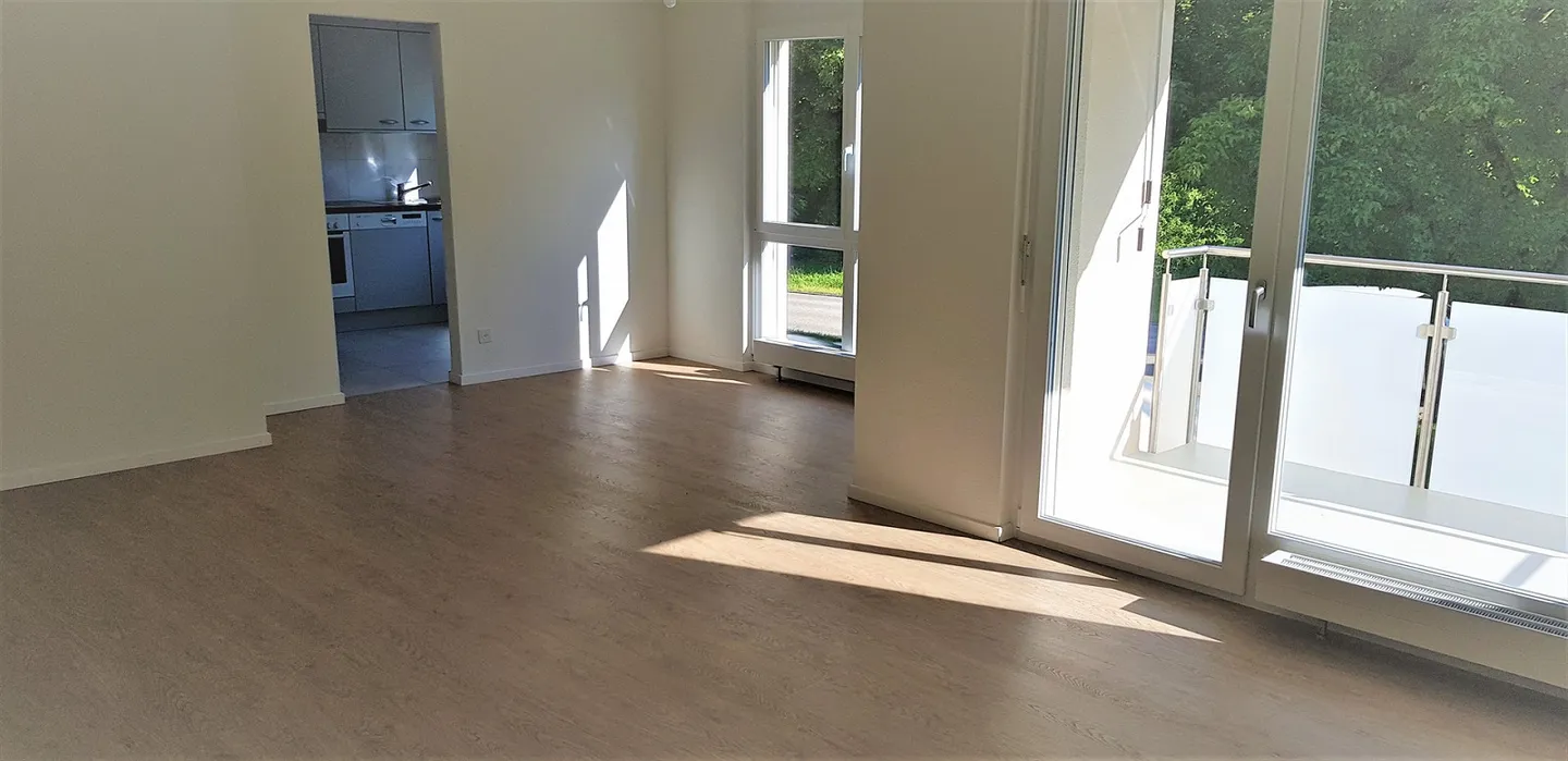 Sunny 4.5 Room Apartment in Eiken - Photo 2 of 10