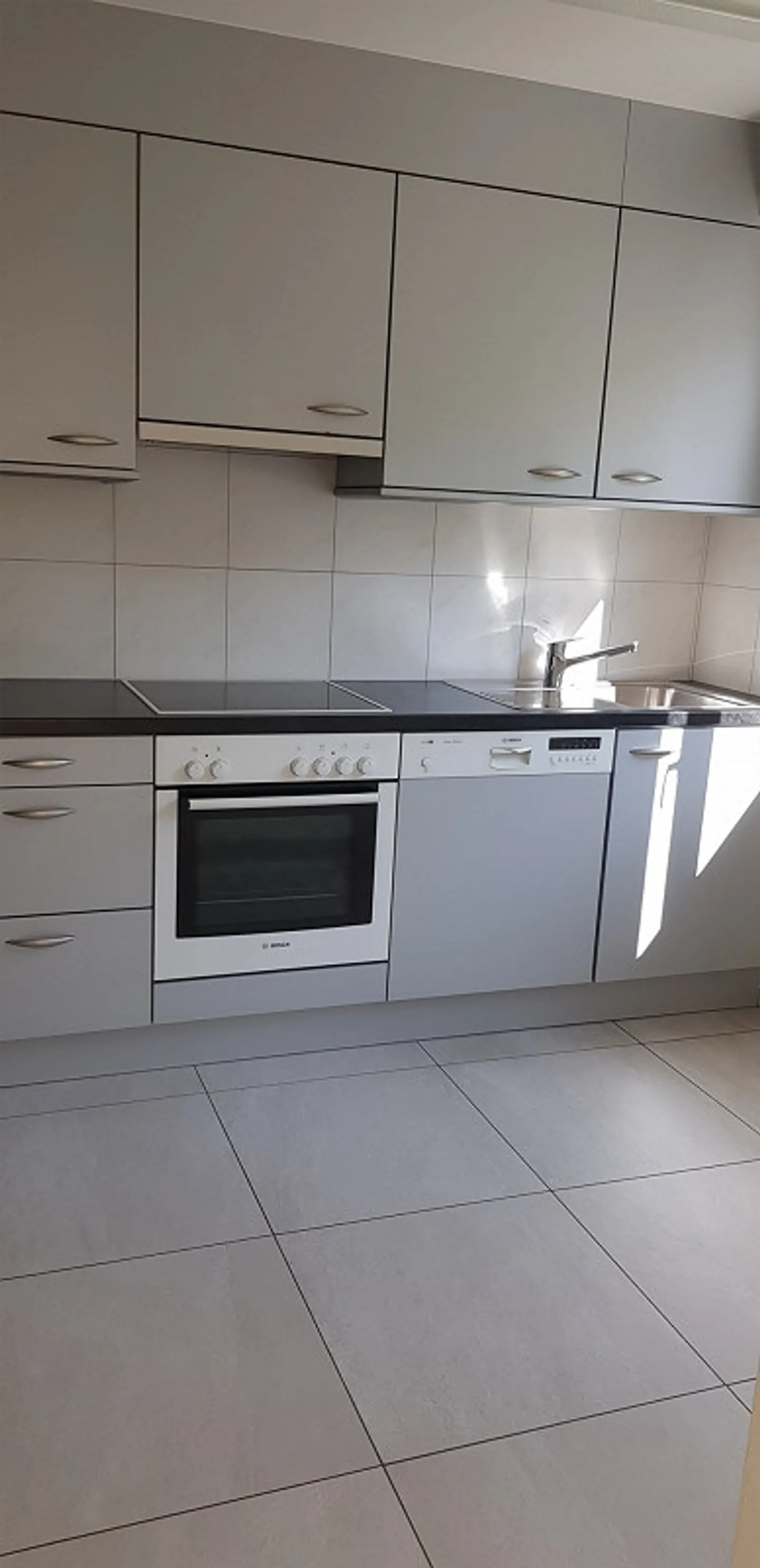 Sunny 4.5 Room Apartment in Eiken - Photo 3 of 10