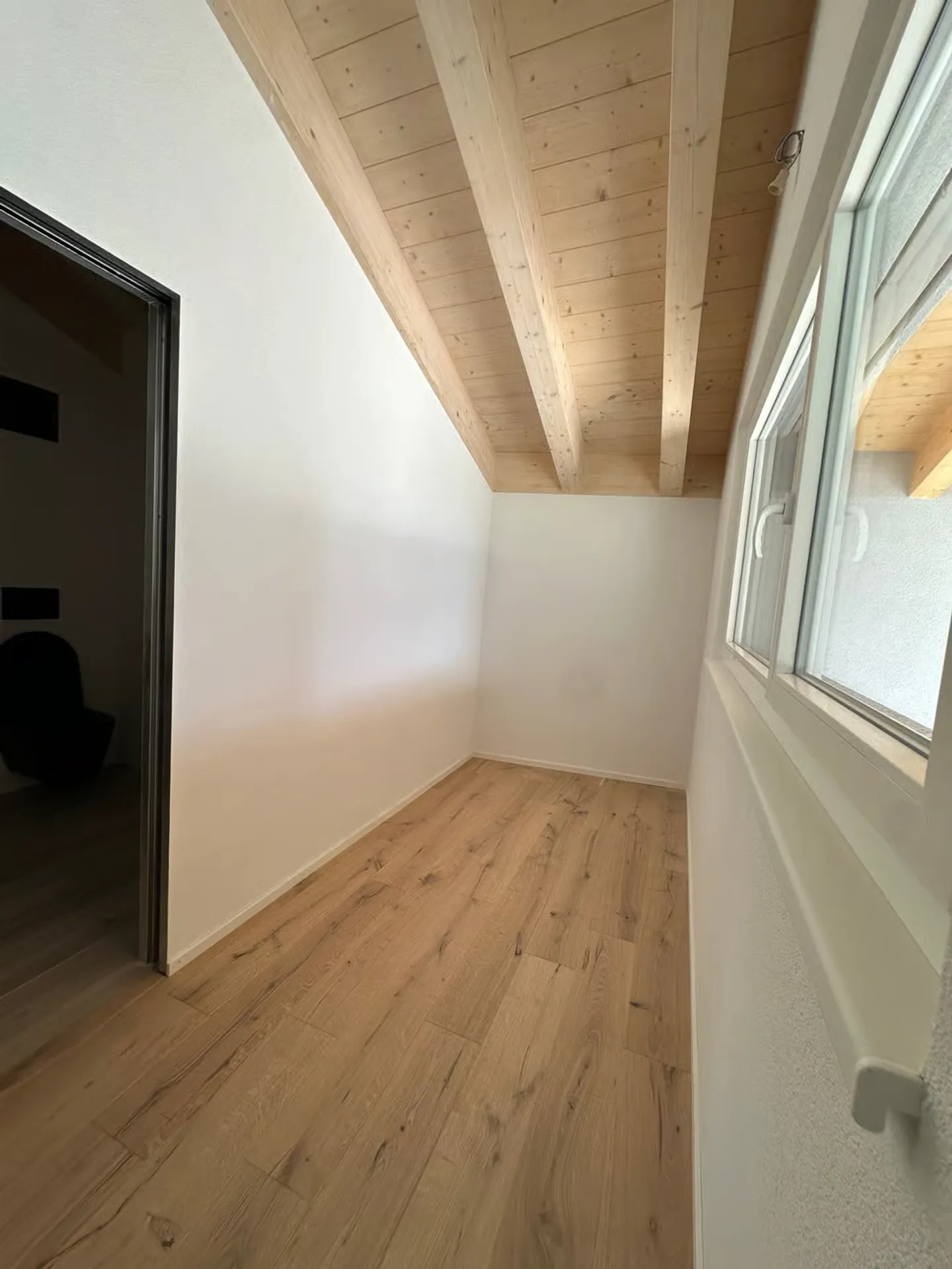 Letzte Charge: 4 1/2 und 2 1/2 Zimmer (für gewerbliche Nutzung) - Foto 9 von 13