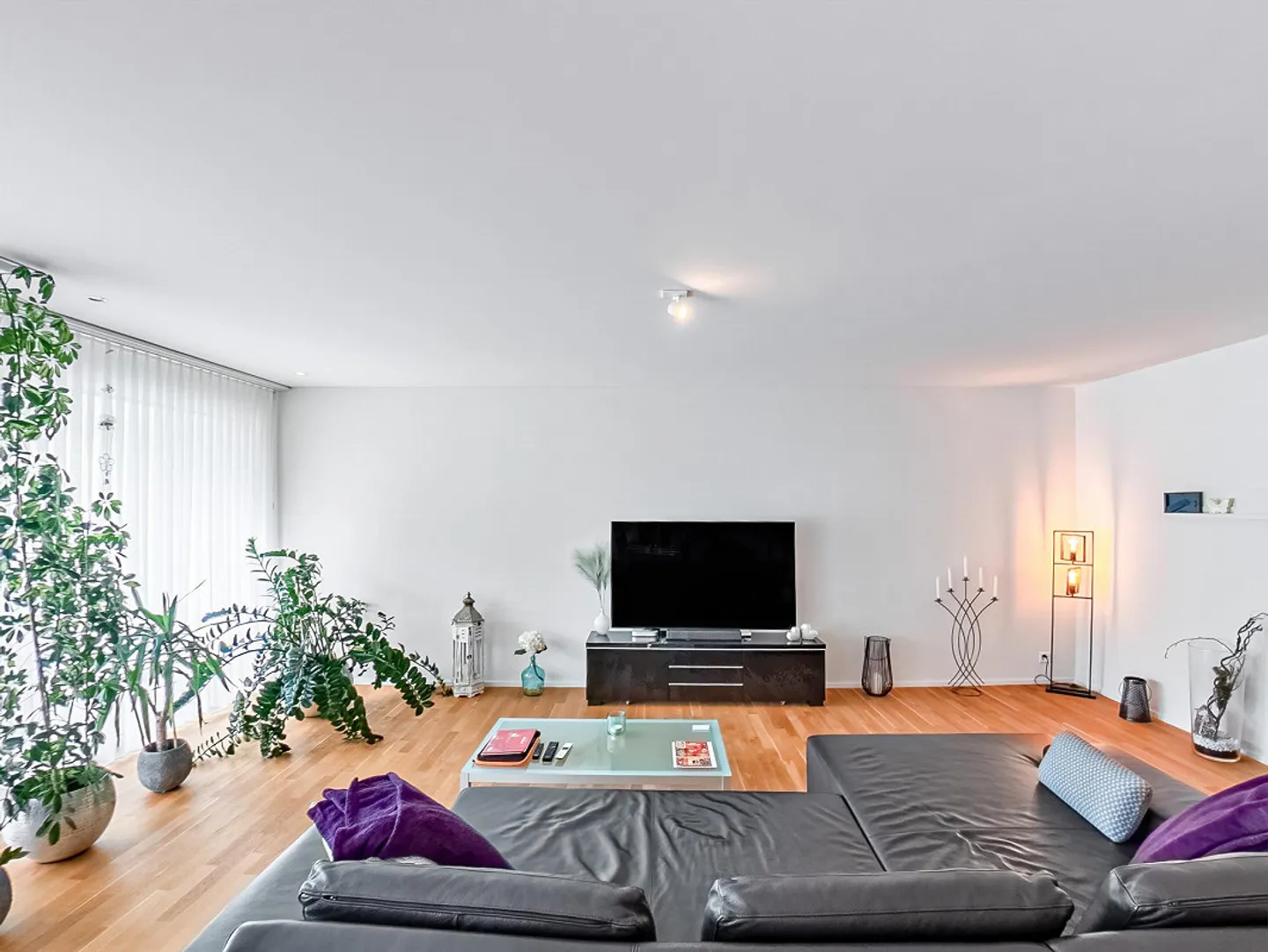 Terrace Apartment on the South Slope - Photo 8 of 18