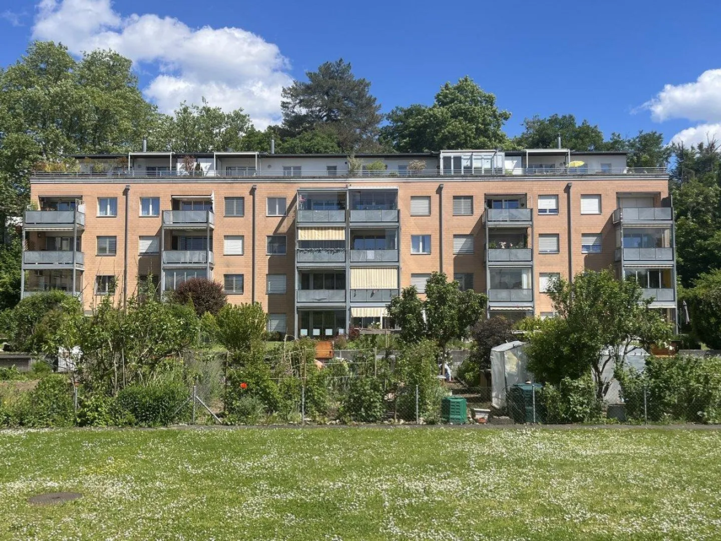 Sonnige Wohnung in Rheinfelden - Foto 1 von 8