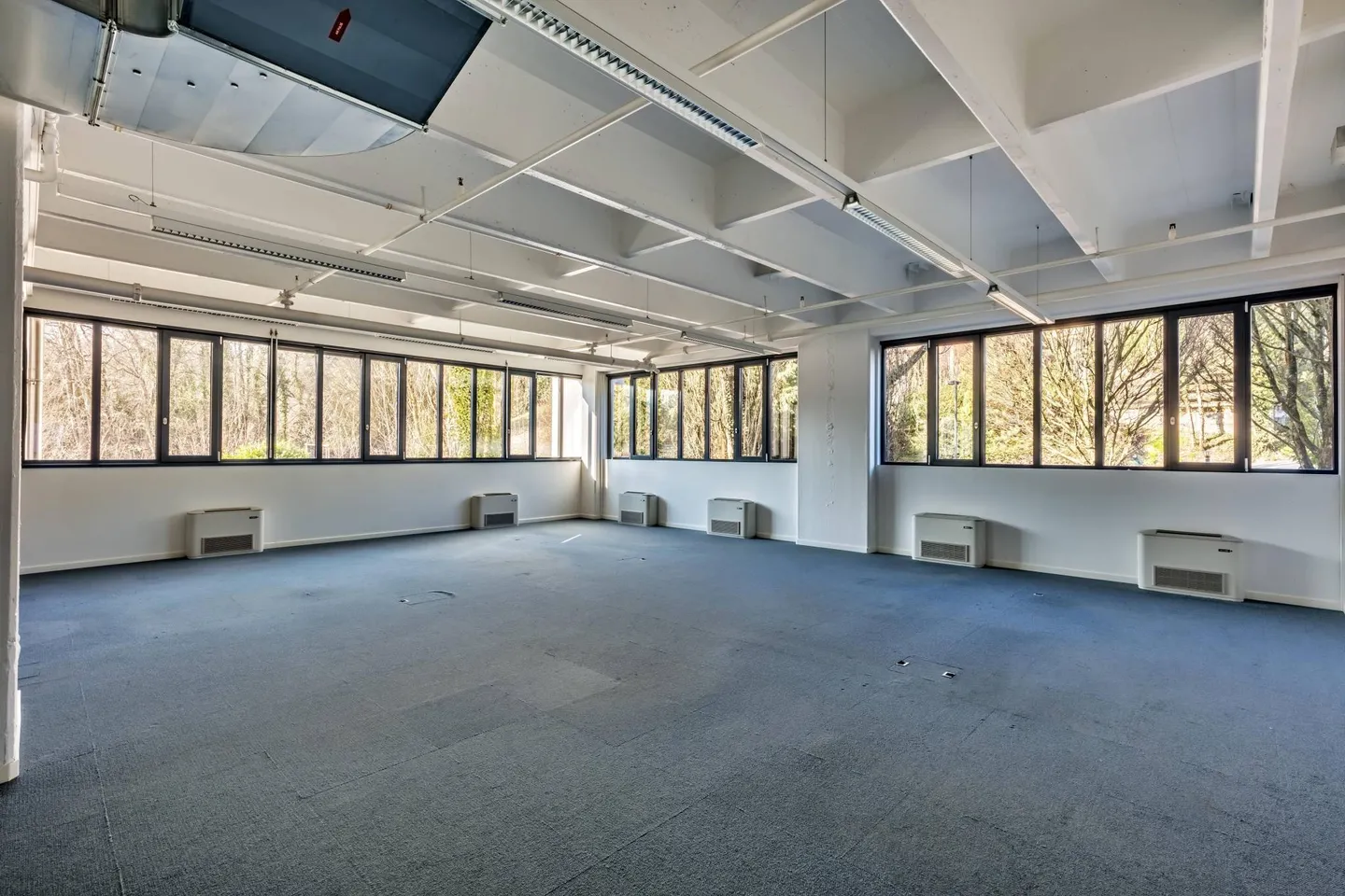 Equipped offices of approximately 6,000 m2 DIVISIBLE in Versoix - Photo 3 of 9