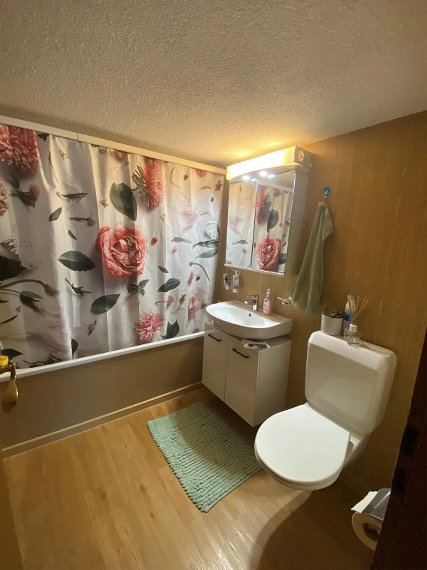 Beautiful apartment with new kitchen in a central location in Stein AR for rent - Photo 7 of 8