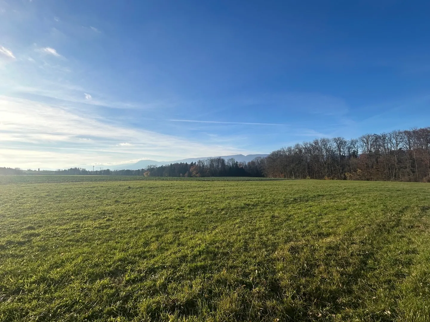 Belle villa avec 5,5 pièces et vue dégagée sur la campagne - Photo 5 sur 8