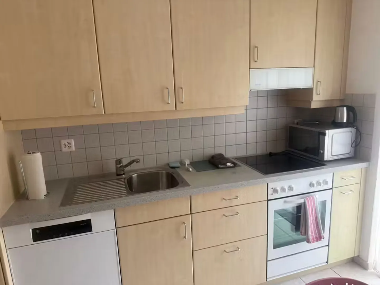 Appartamento Incantevole a Zurigo - Foto 7 di 10