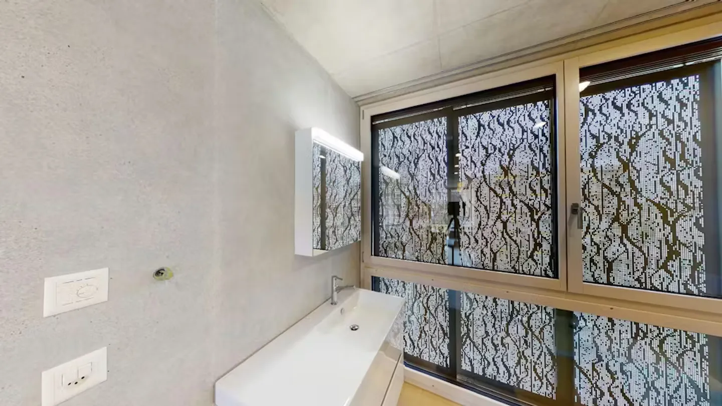 Modern Apartment in Basel - Photo 9 of 10