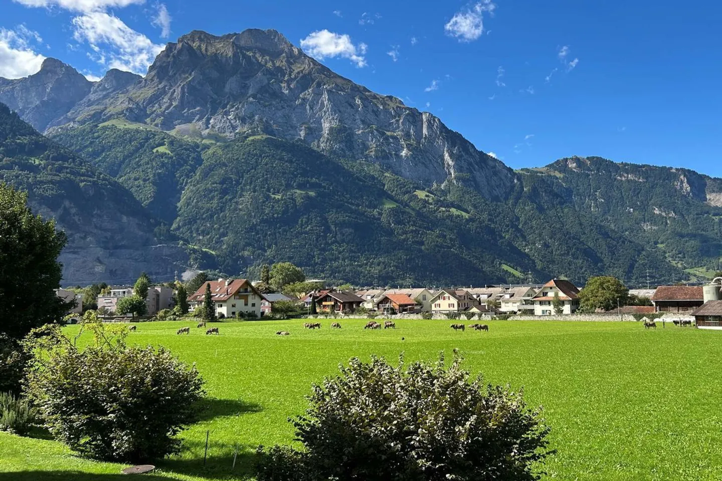 Spacious Apartment with Mountain View - Photo 3 of 13