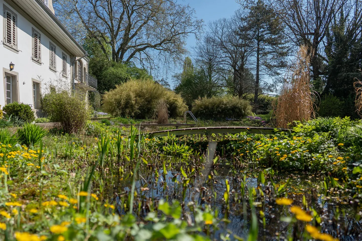 Herrschaftshaus mit weitläufigem Park und Schwimmteich - Photo 5 of 15