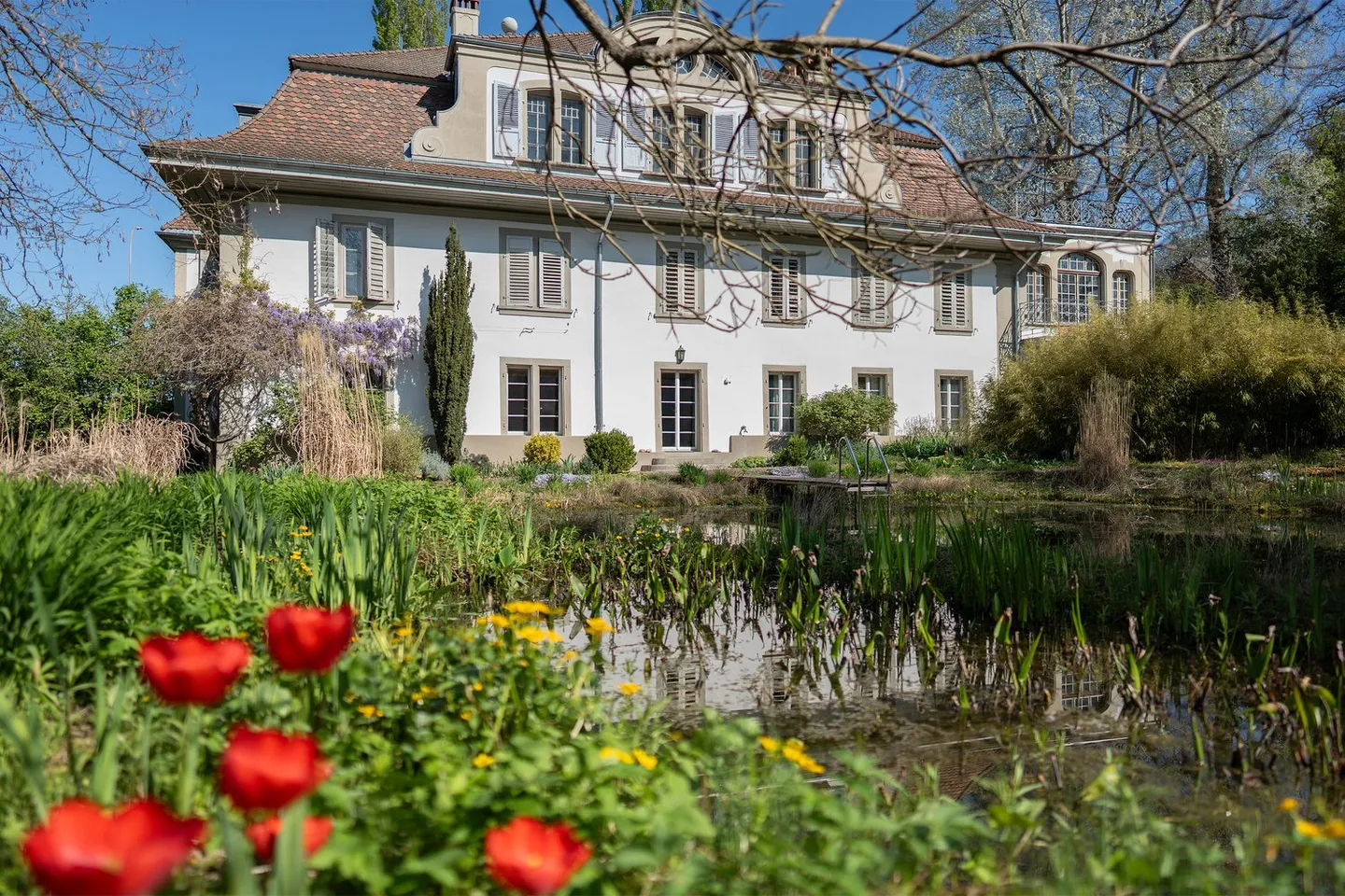 Herrschaftshaus mit weitläufigem Park und Schwimmteich - Photo 6 of 15