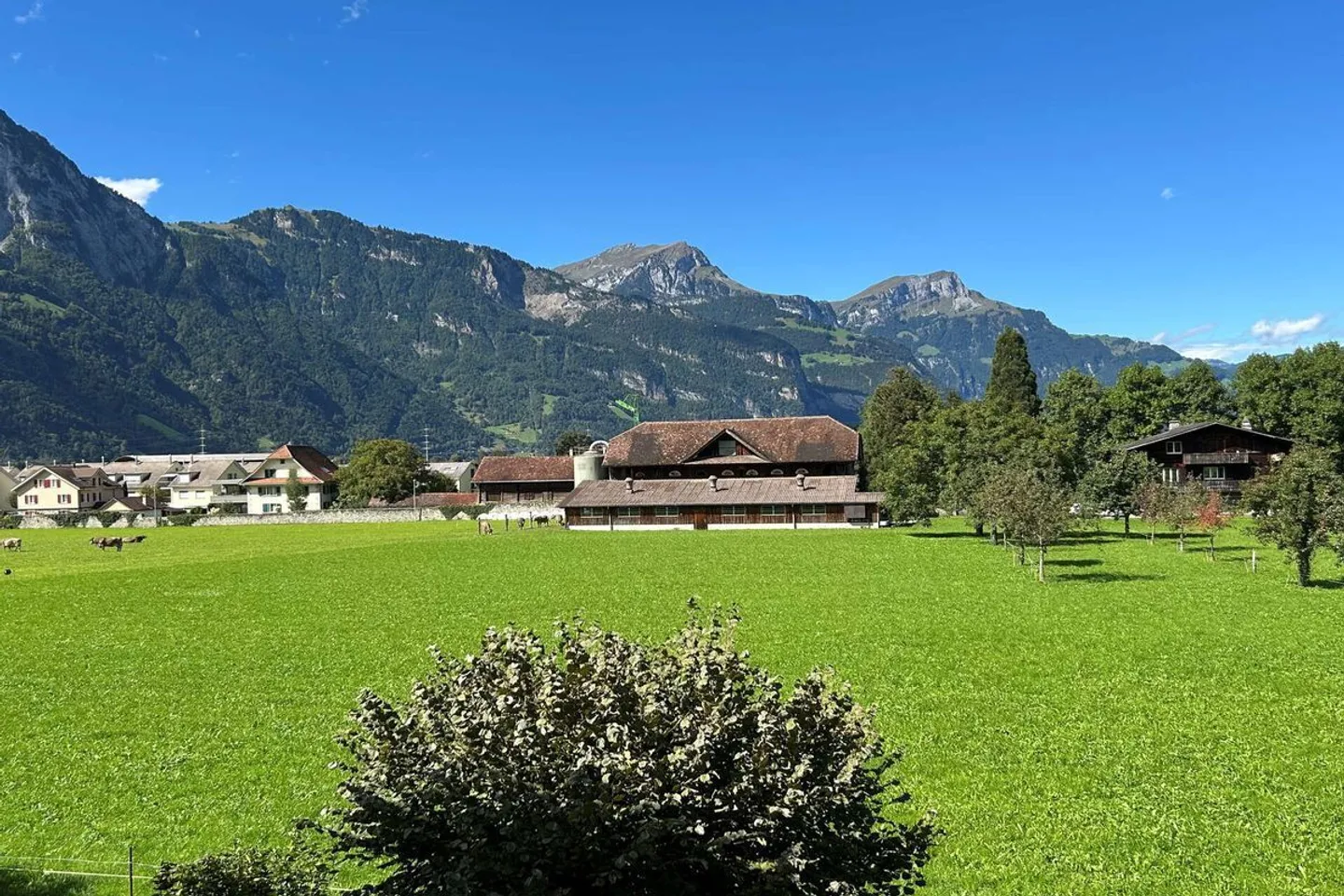 Spacious Apartment with Mountain View - Photo 13 of 13
