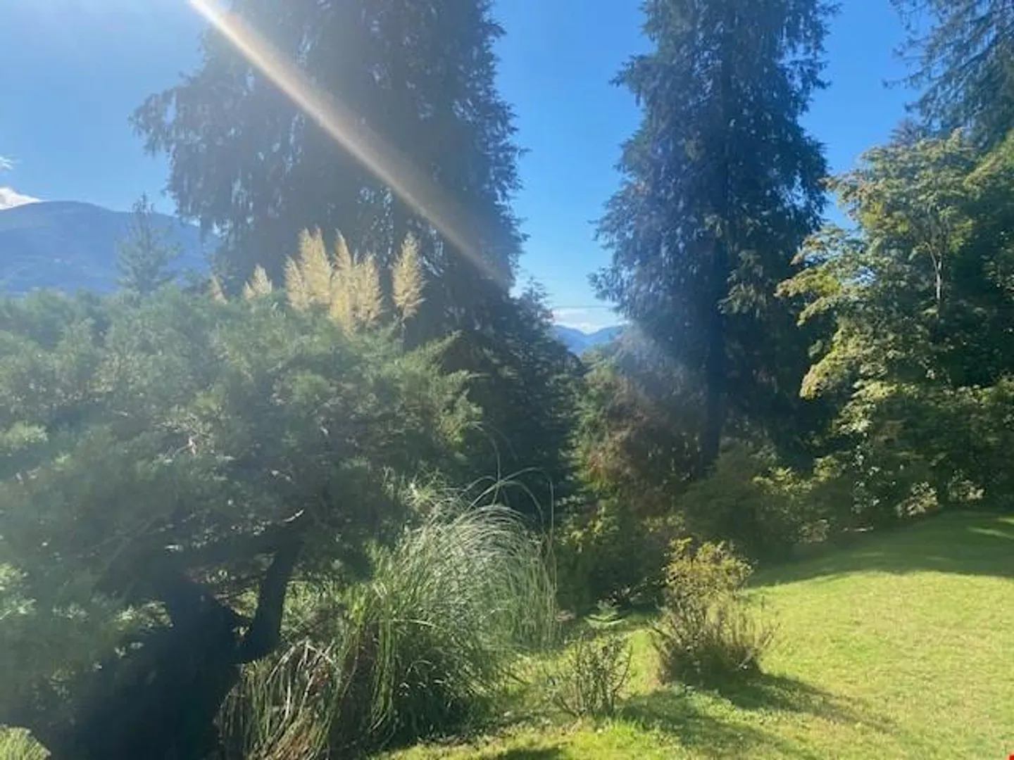 House in the Blooming Forest - Photo 2 of 13